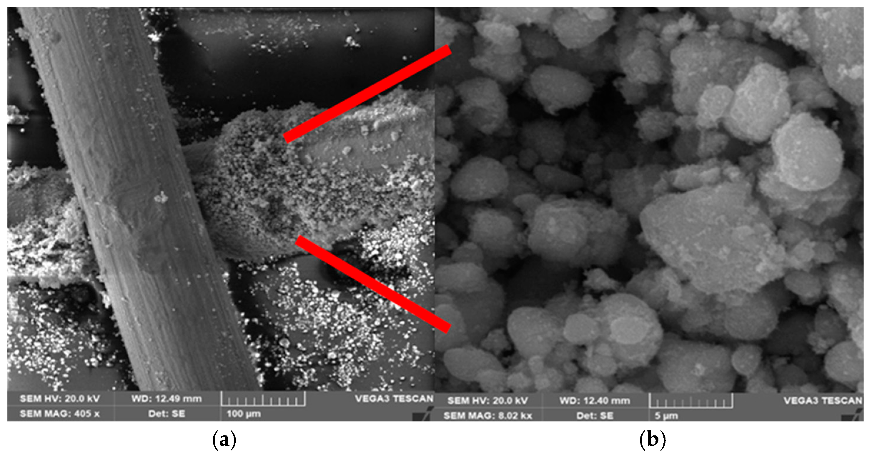 Sustainability 17 09478 g003