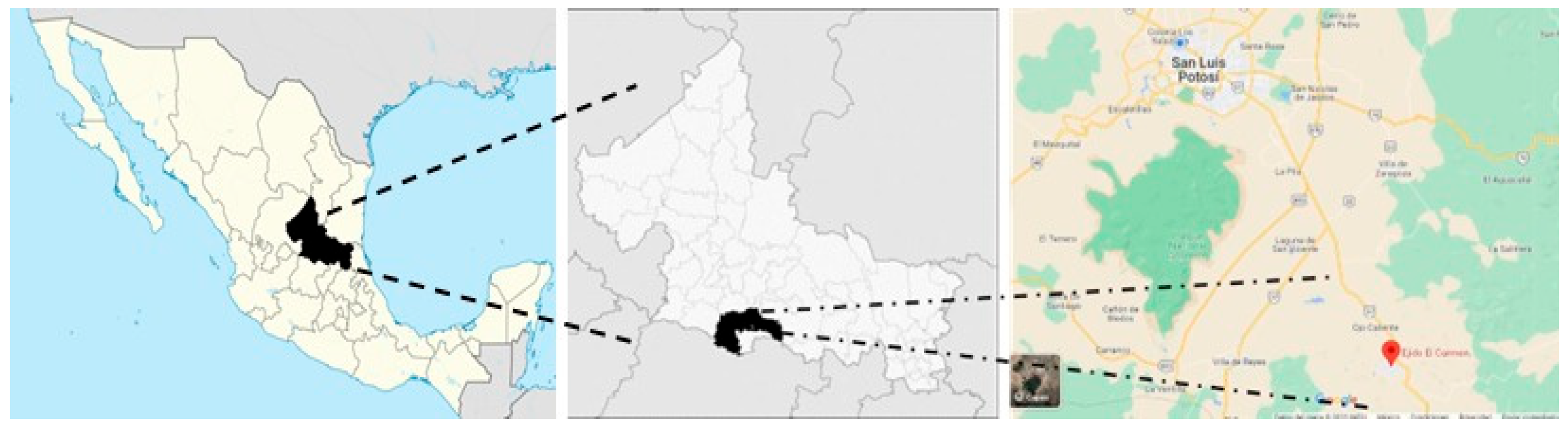 Sustainability 17 09481 g001 Sustainability 17 09481 g001