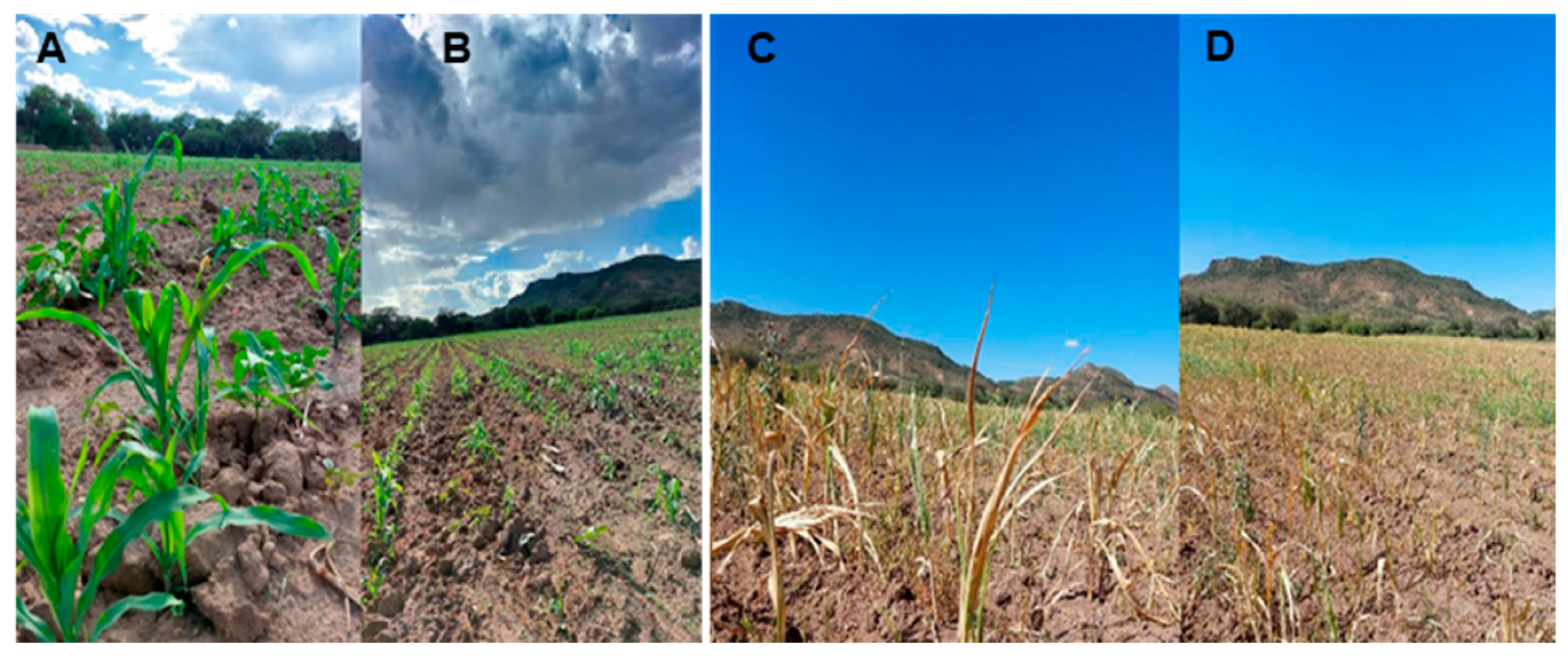 Sustainability 17 09481 g002 Sustainability 17 09481 g002