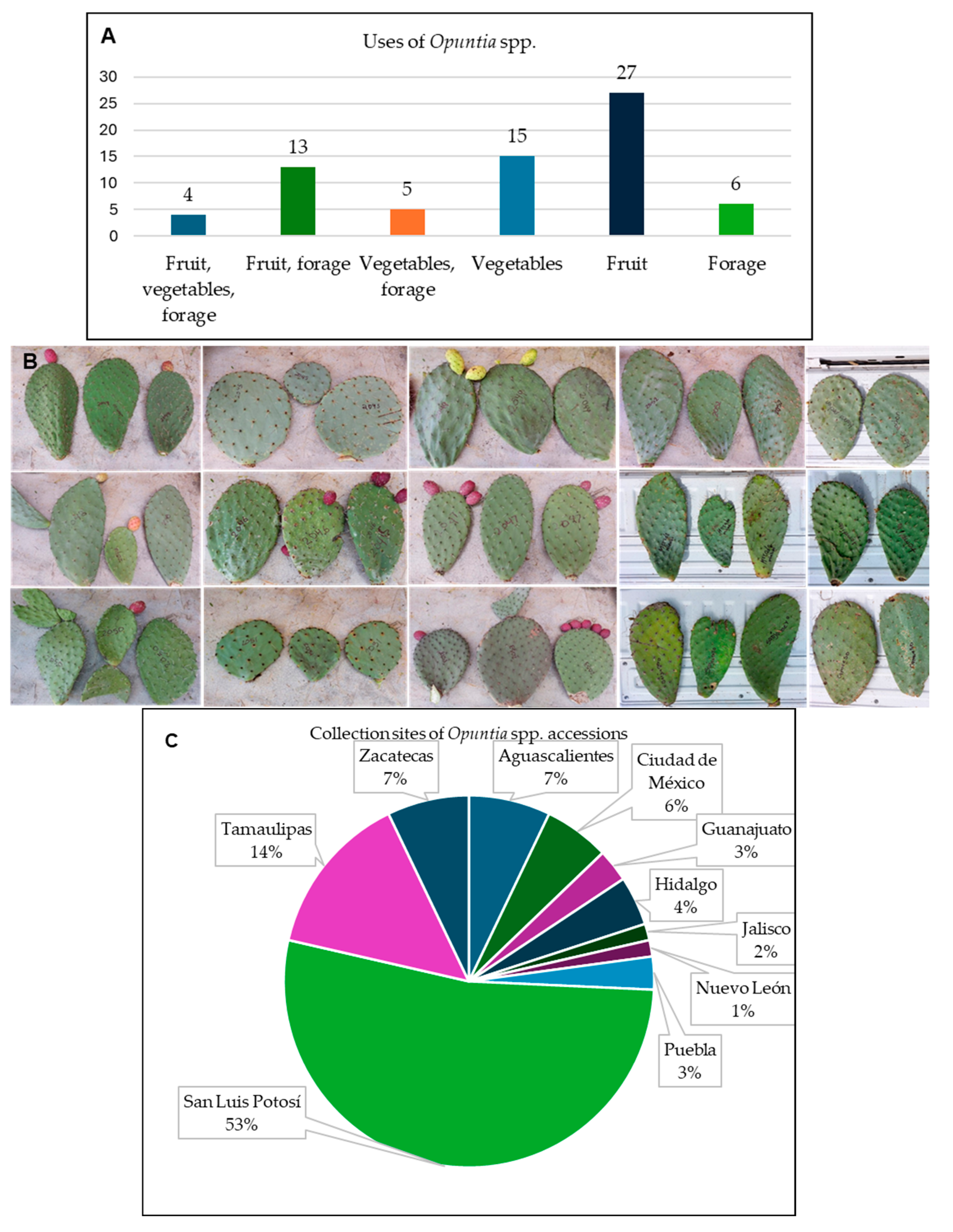 Sustainability 17 09481 g007 Sustainability 17 09481 g007
