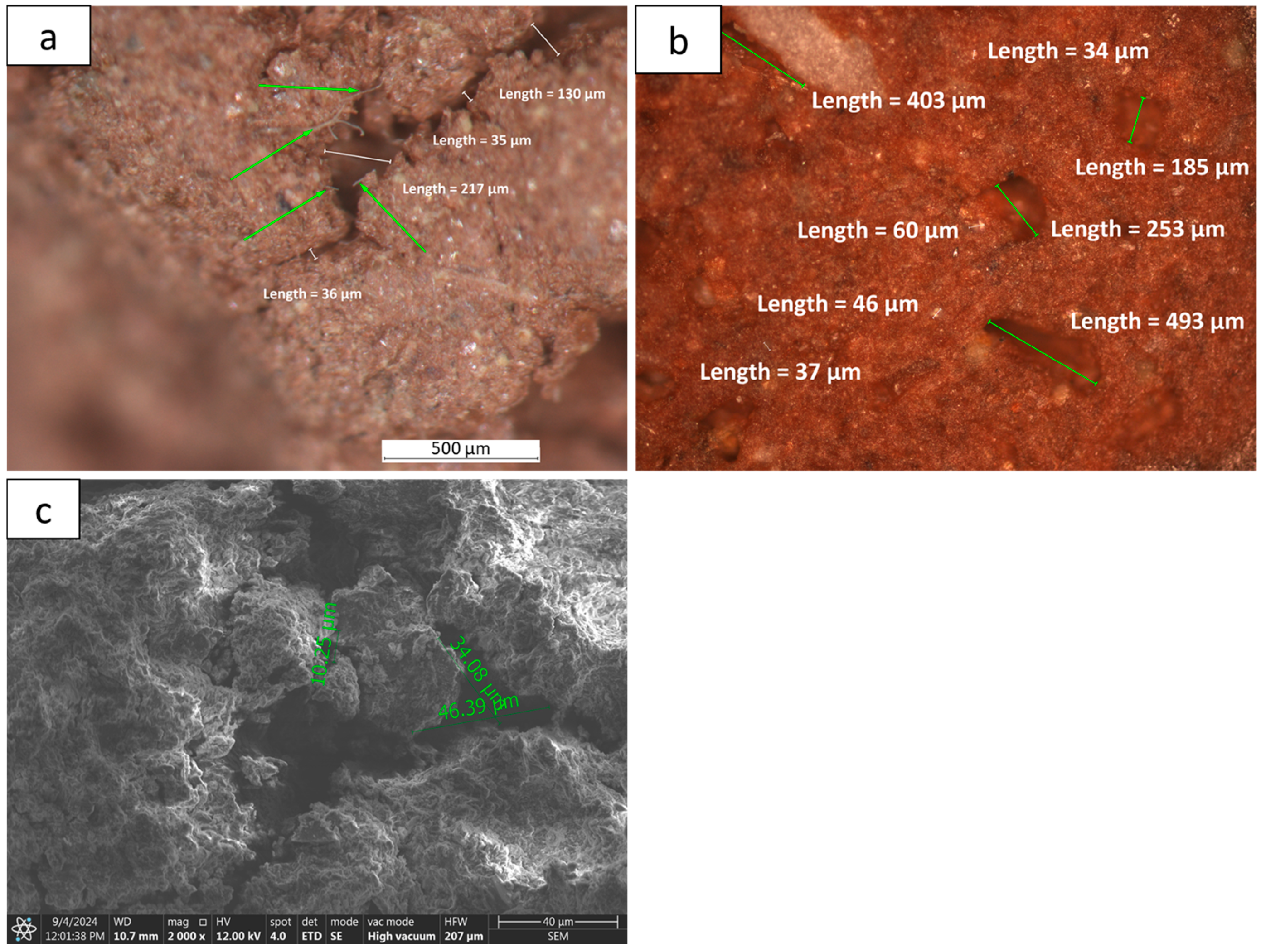 Sustainability 17 09489 g008