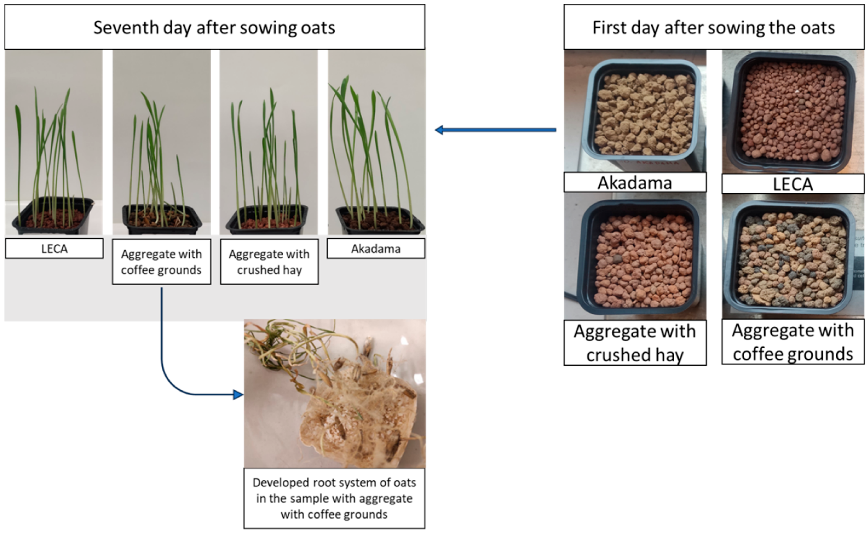 Sustainability 17 09489 g015