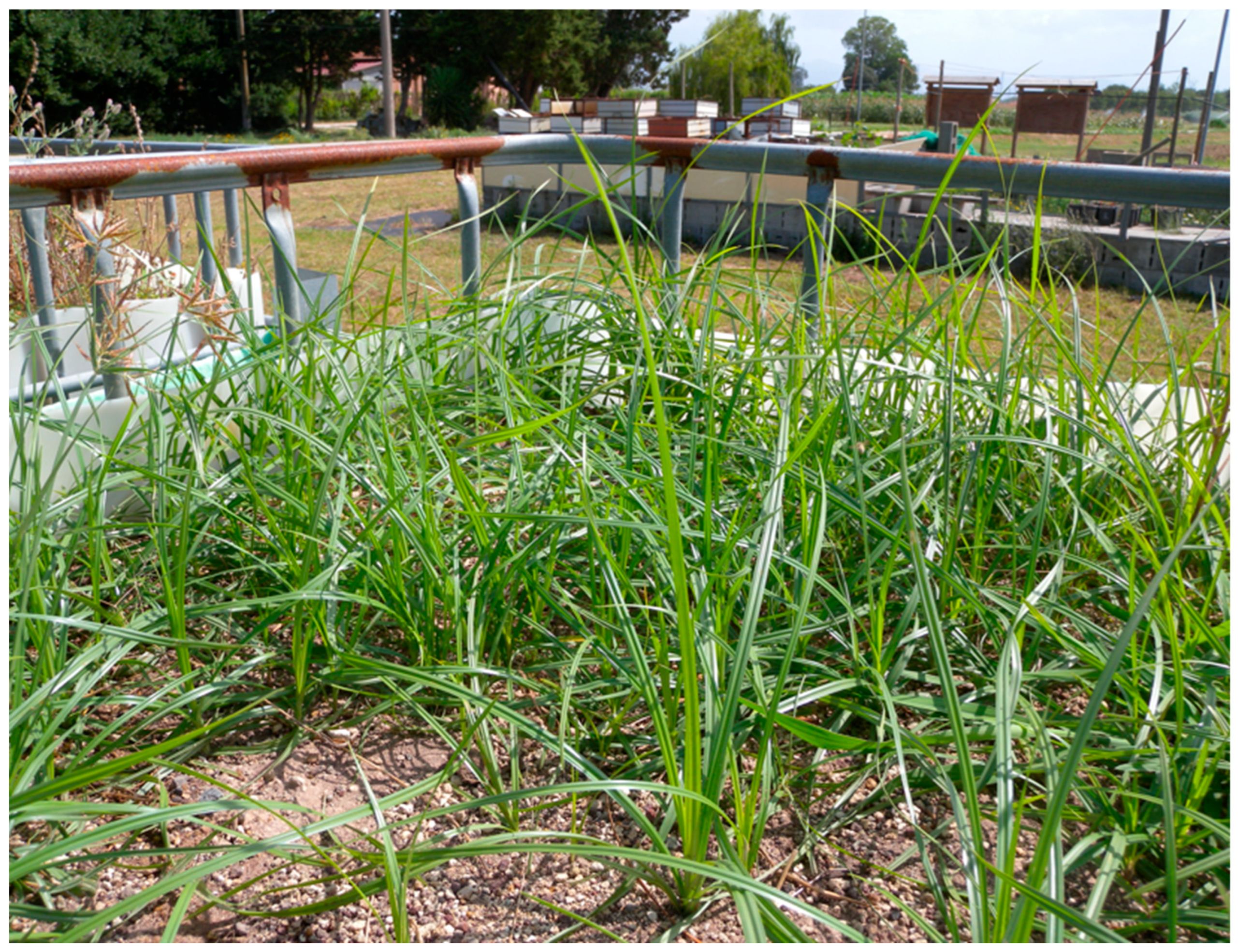 Sustainability 17 09543 g003