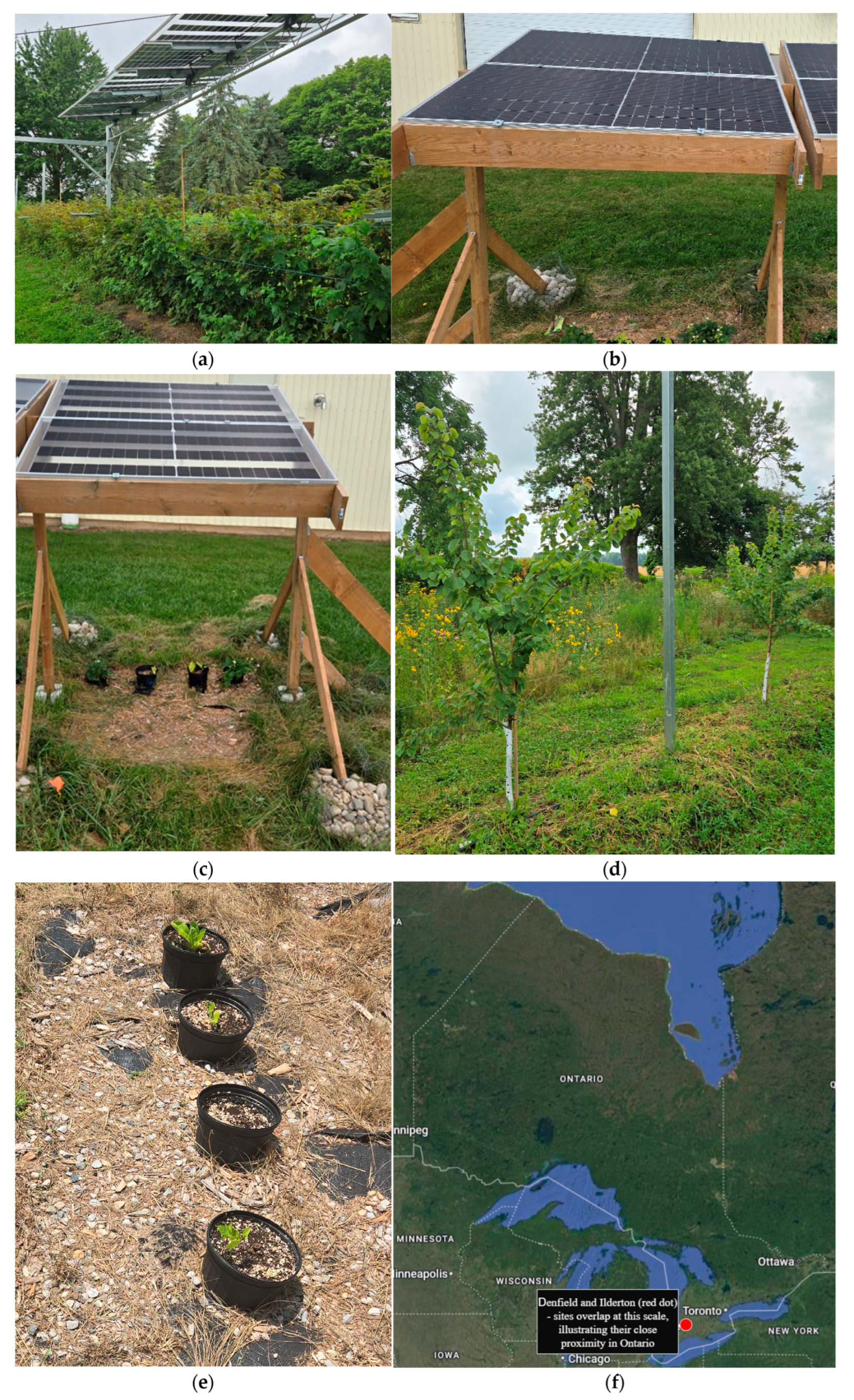 Sustainability 17 09544 g001a Sustainability 17 09544 g001a