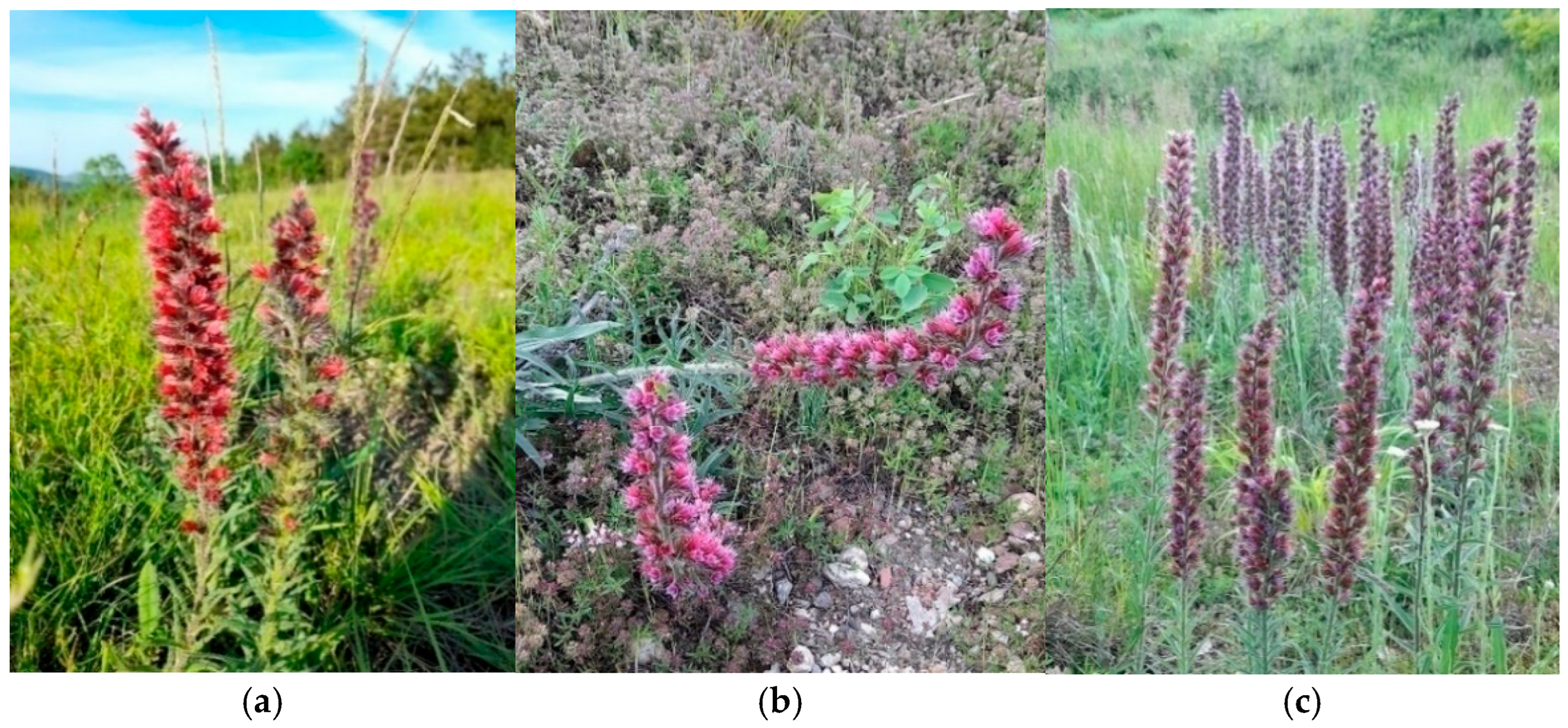 Sustainability 17 09558 g002