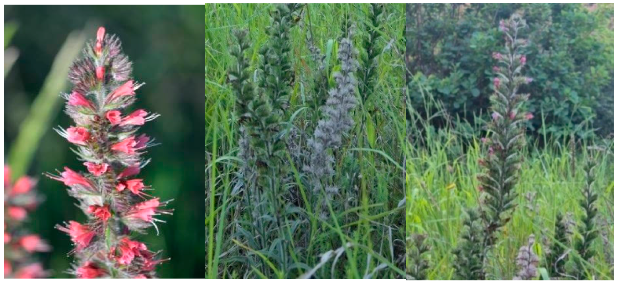 Sustainability 17 09558 g003