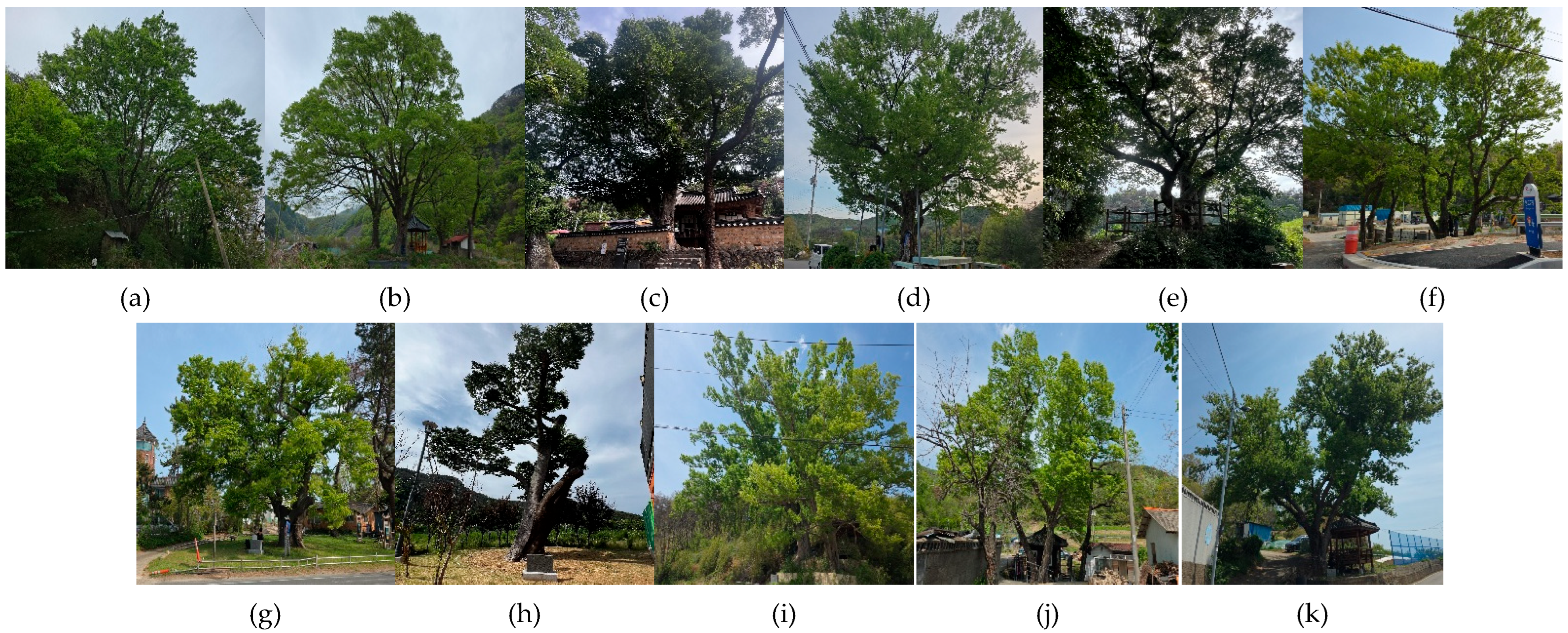 Sustainability 17 09636 g004 Sustainability 17 09636 g004