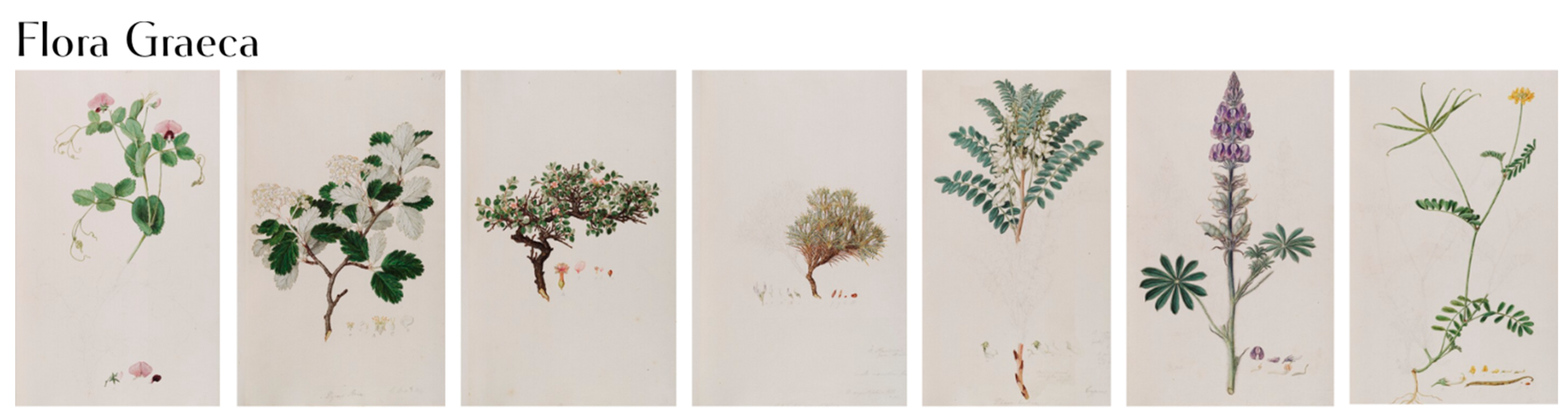 Sustainability 17 09640 g005