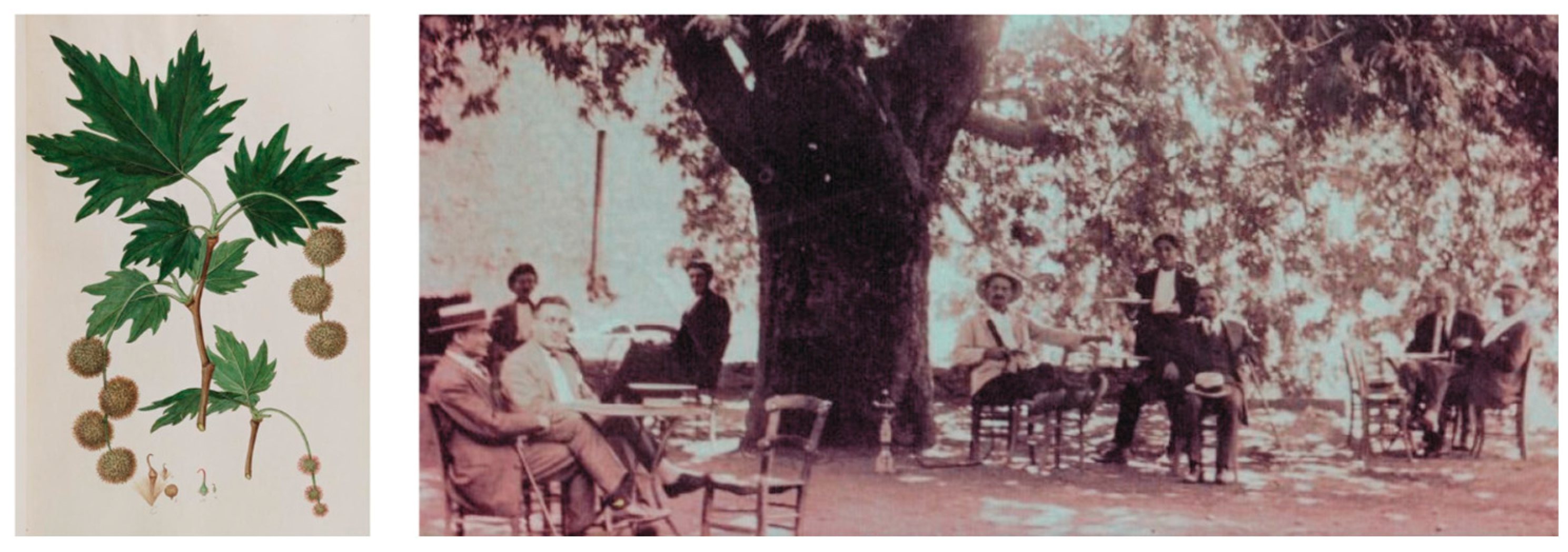 Sustainability 17 09640 g021