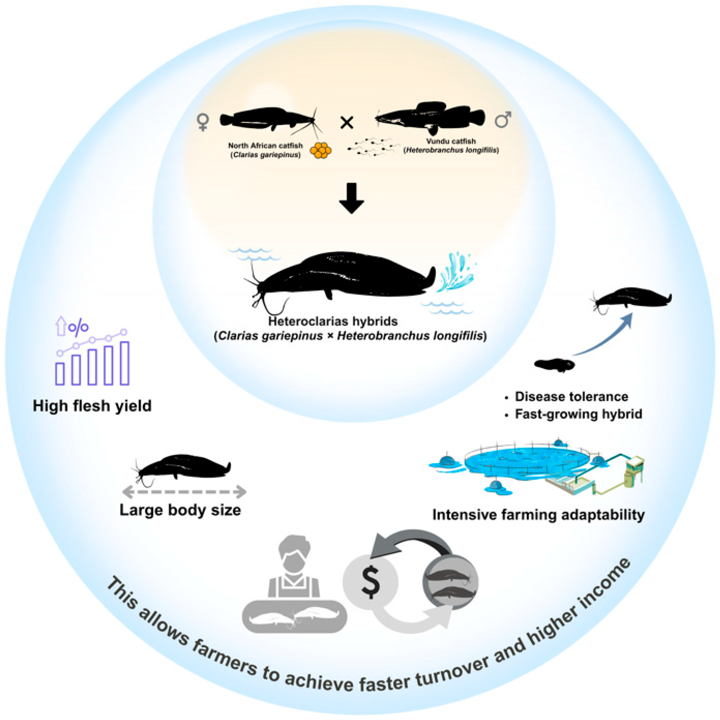 Sustainability 17 09645 g002