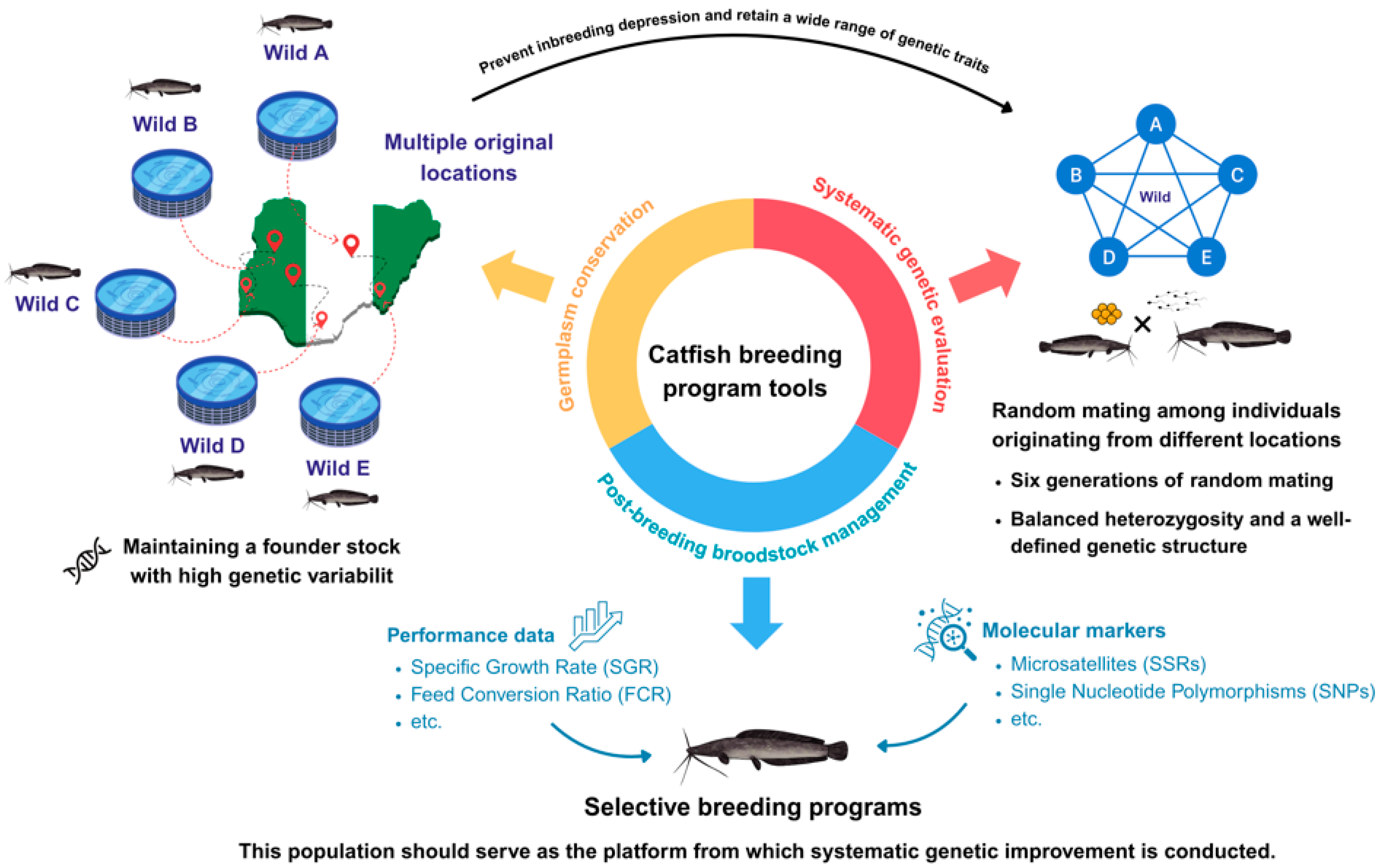 Sustainability 17 09645 g003