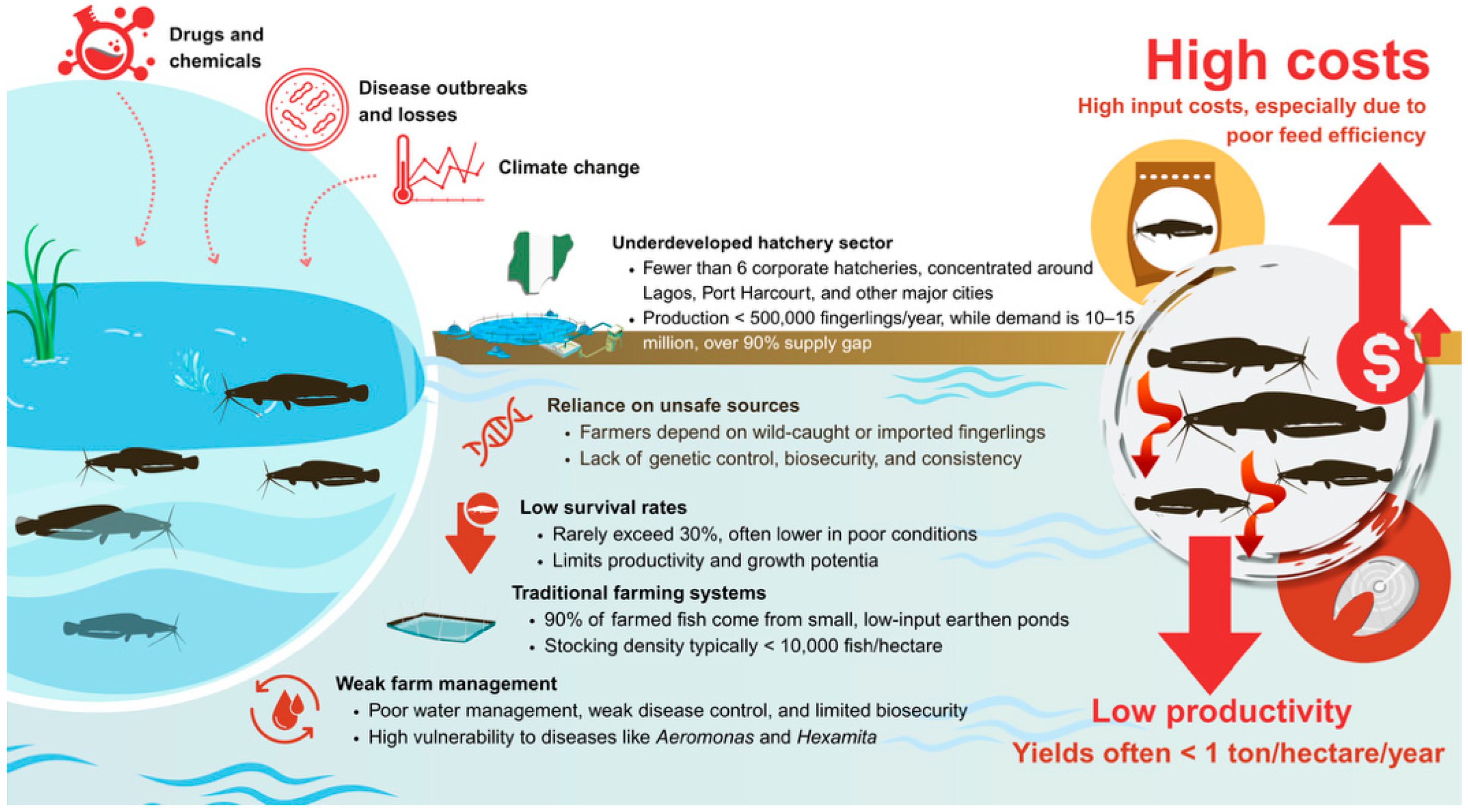 Sustainability 17 09645 g004