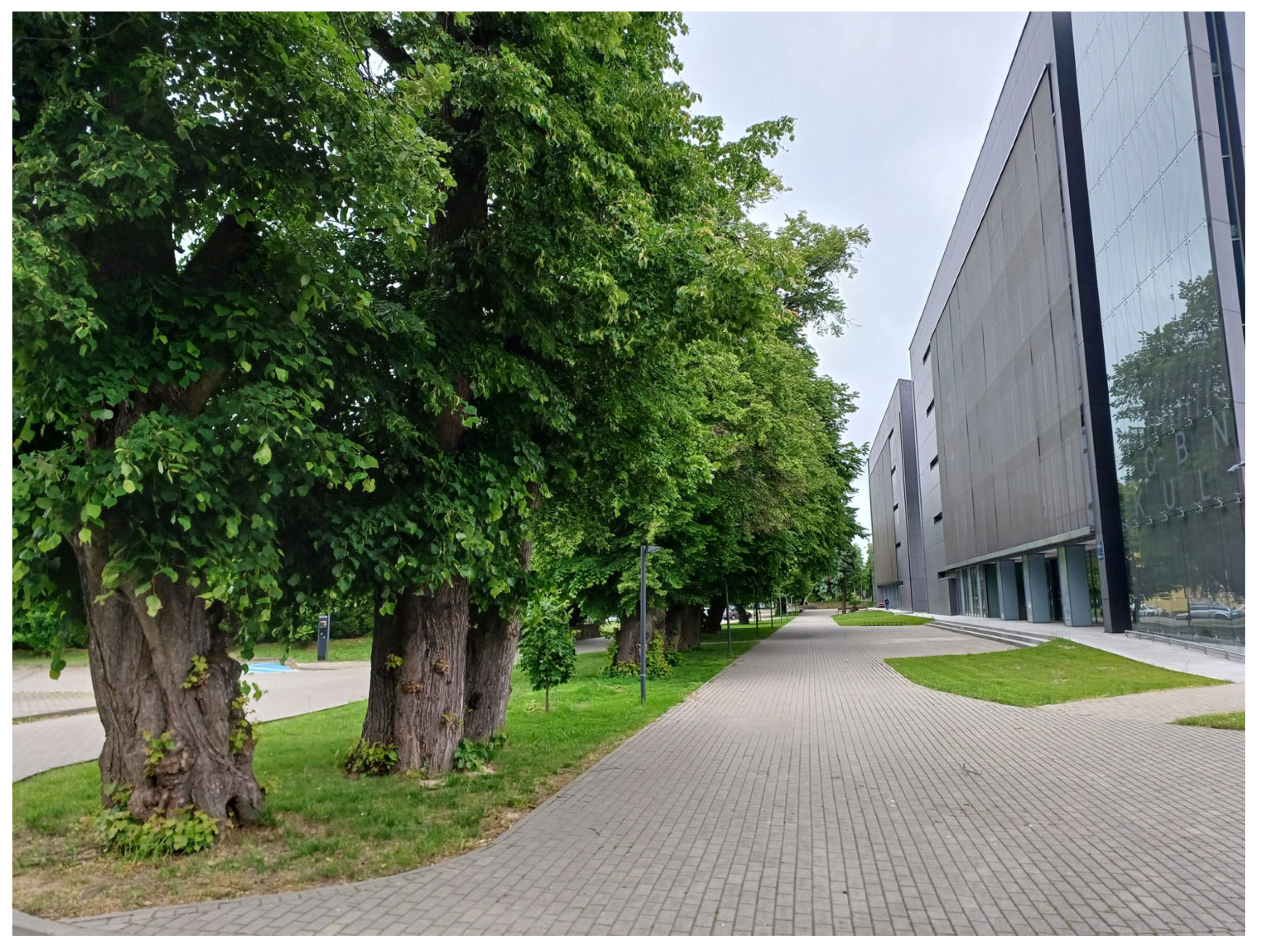 Sustainability 17 09681 g003 Sustainability 17 09681 g003