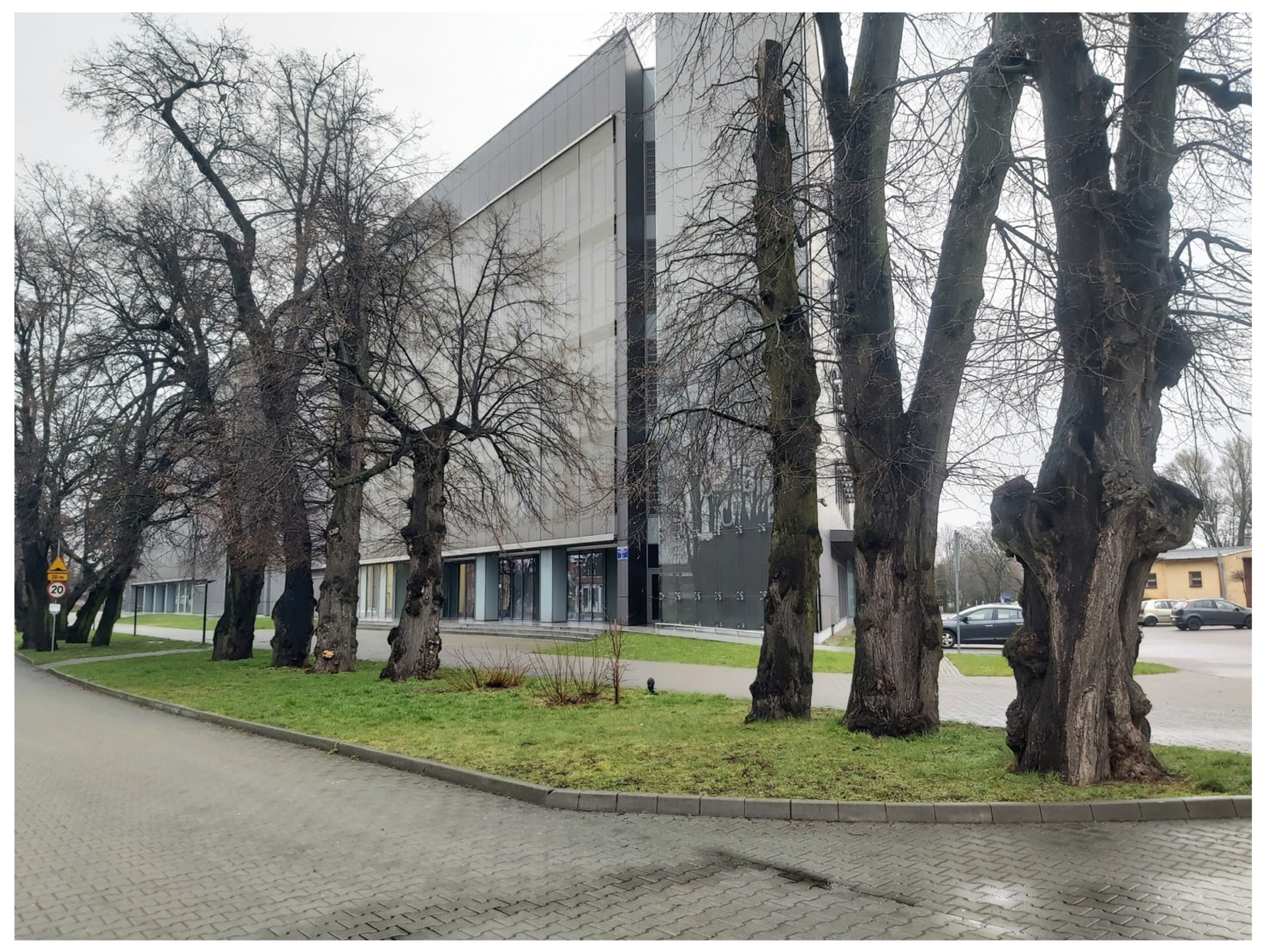 Sustainability 17 09681 g005 Sustainability 17 09681 g005