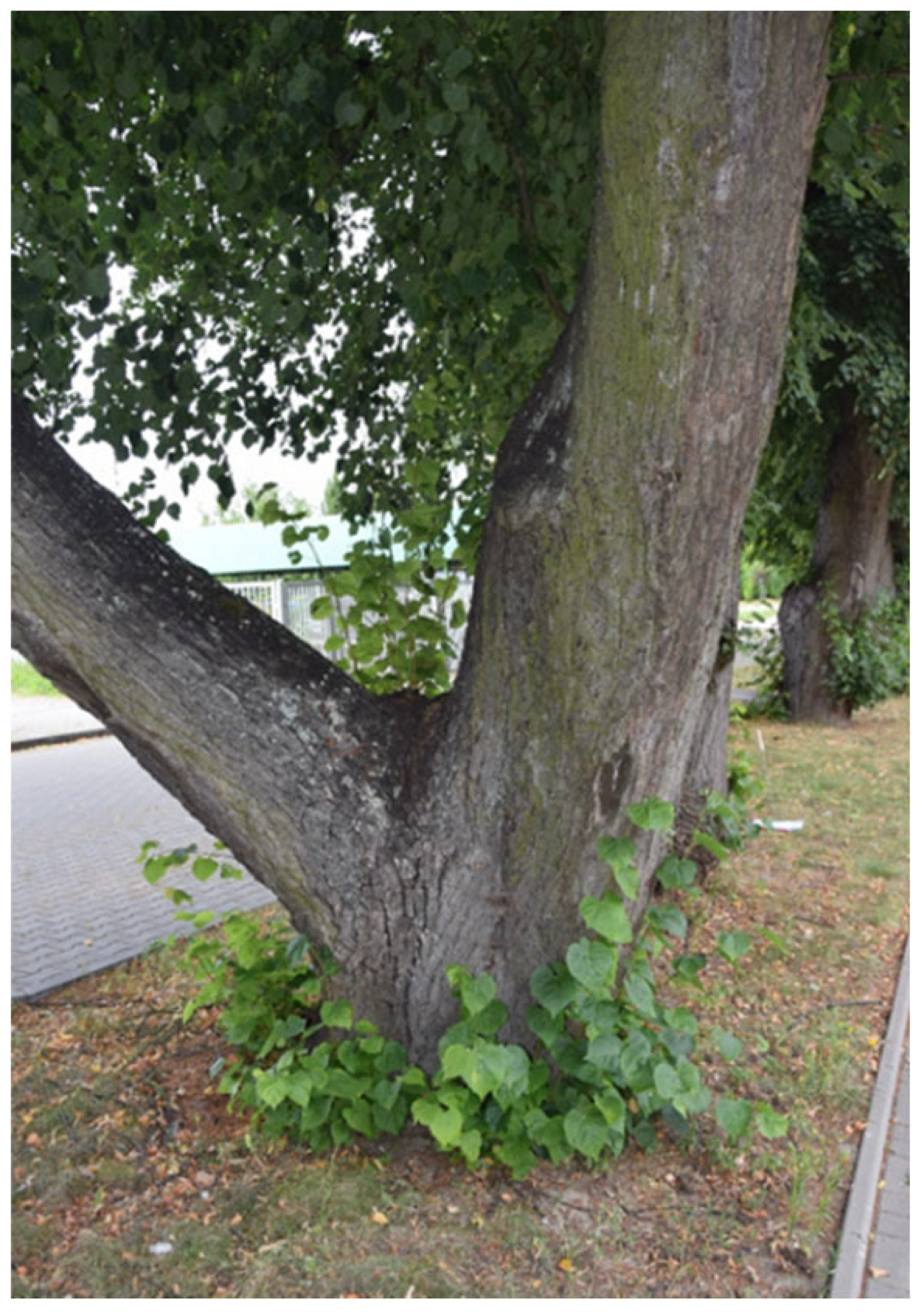 Sustainability 17 09681 i003 Sustainability 17 09681 i003