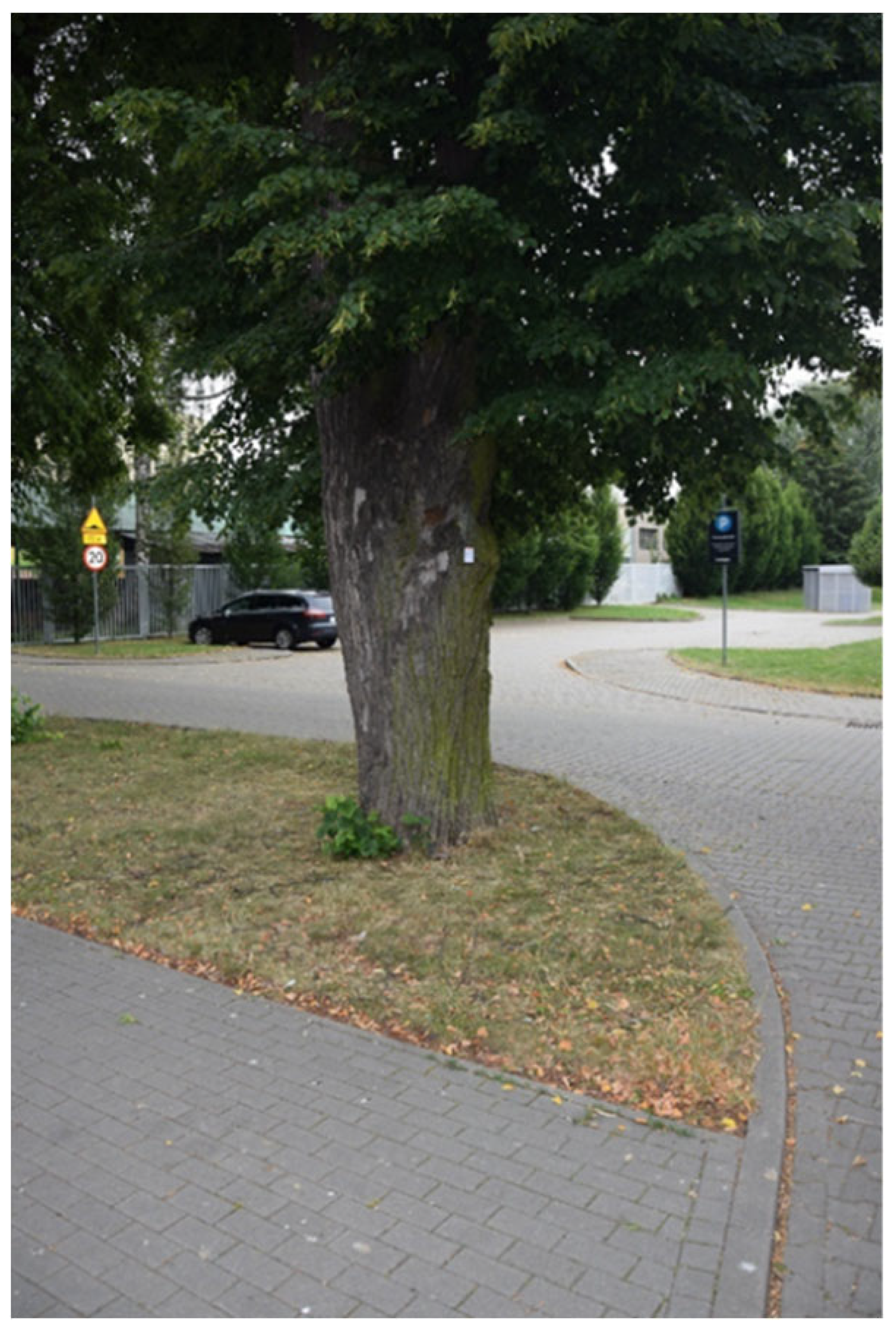 Sustainability 17 09681 i011 Sustainability 17 09681 i011