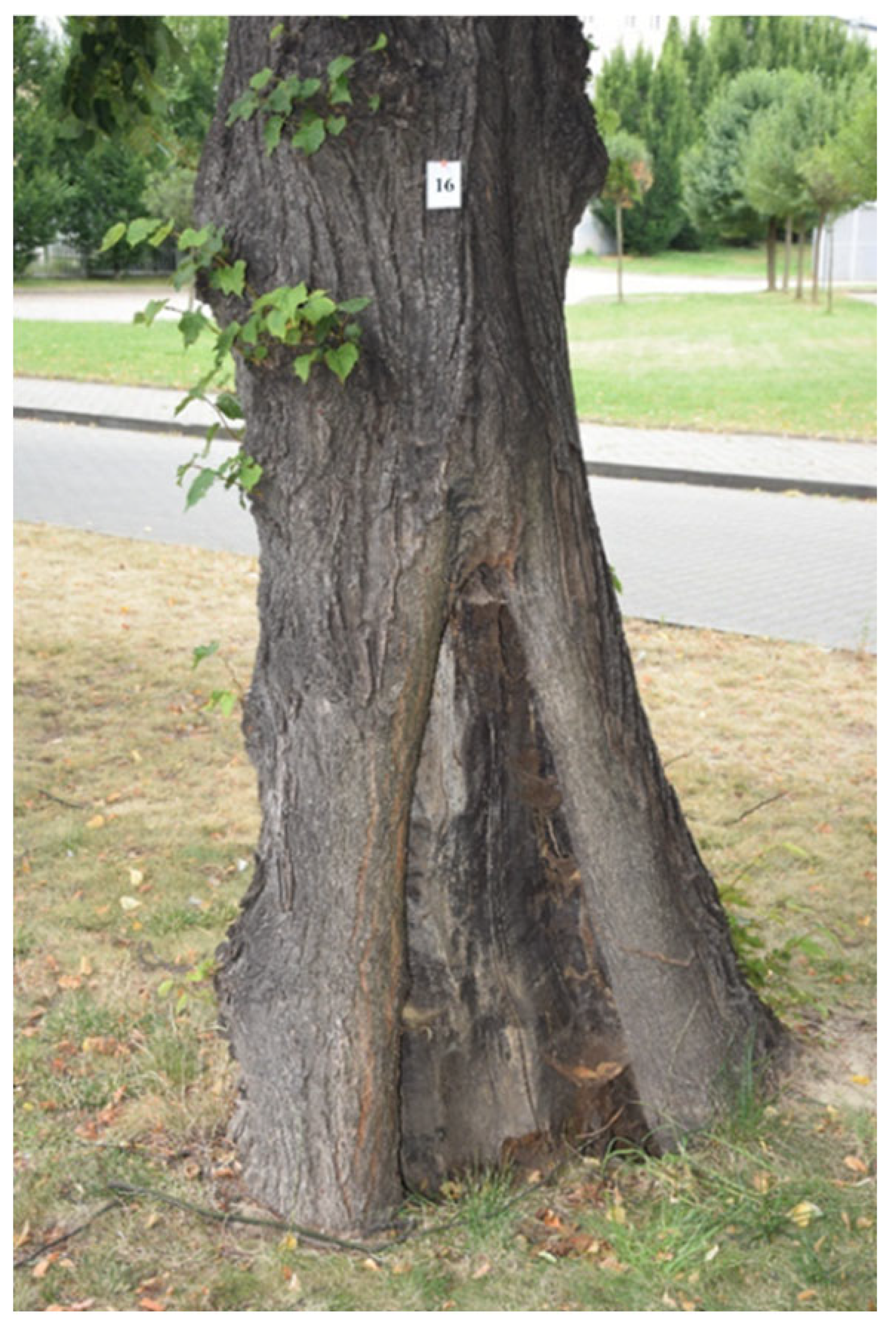 Sustainability 17 09681 i019 Sustainability 17 09681 i019