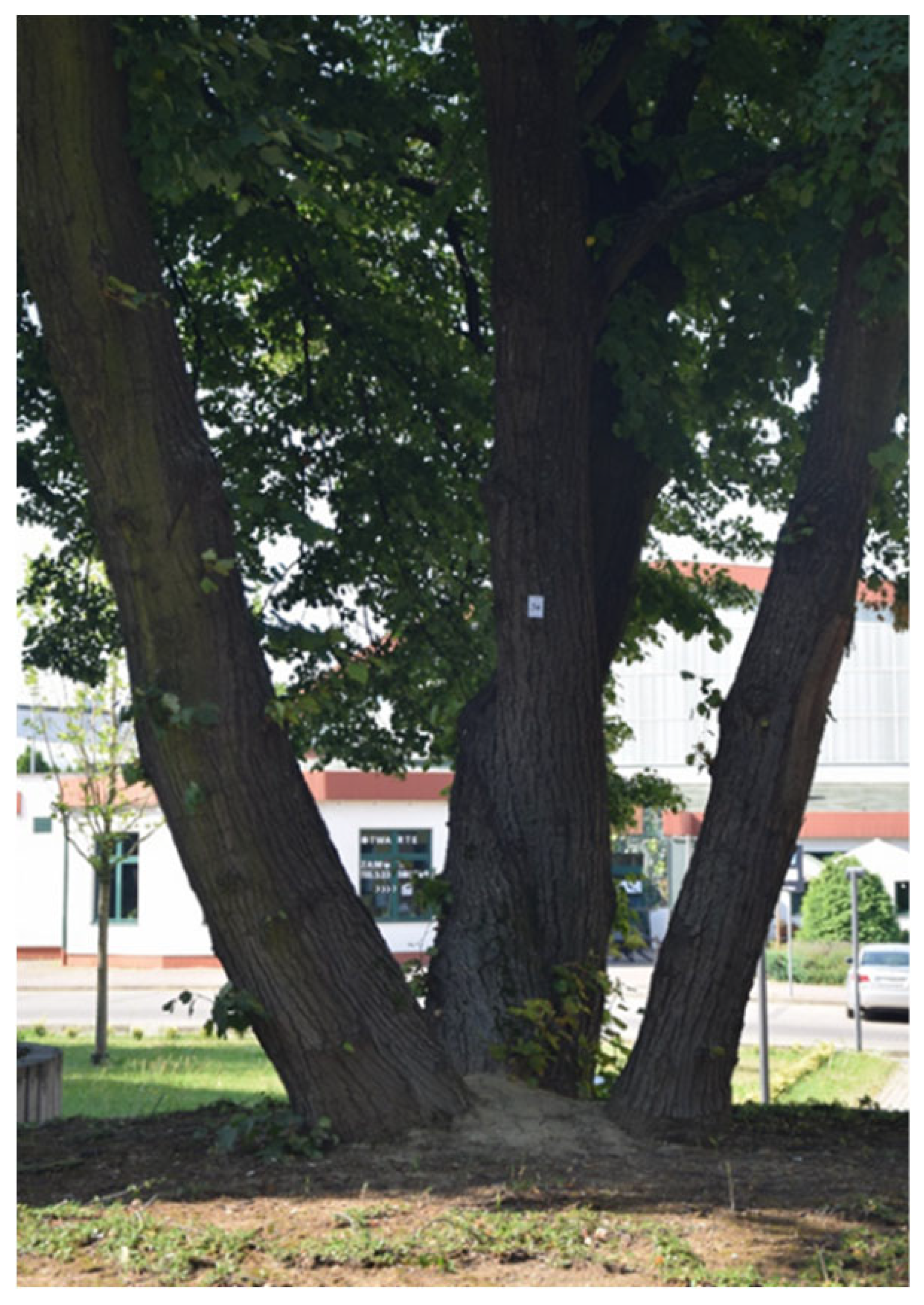 Sustainability 17 09681 i029 Sustainability 17 09681 i029