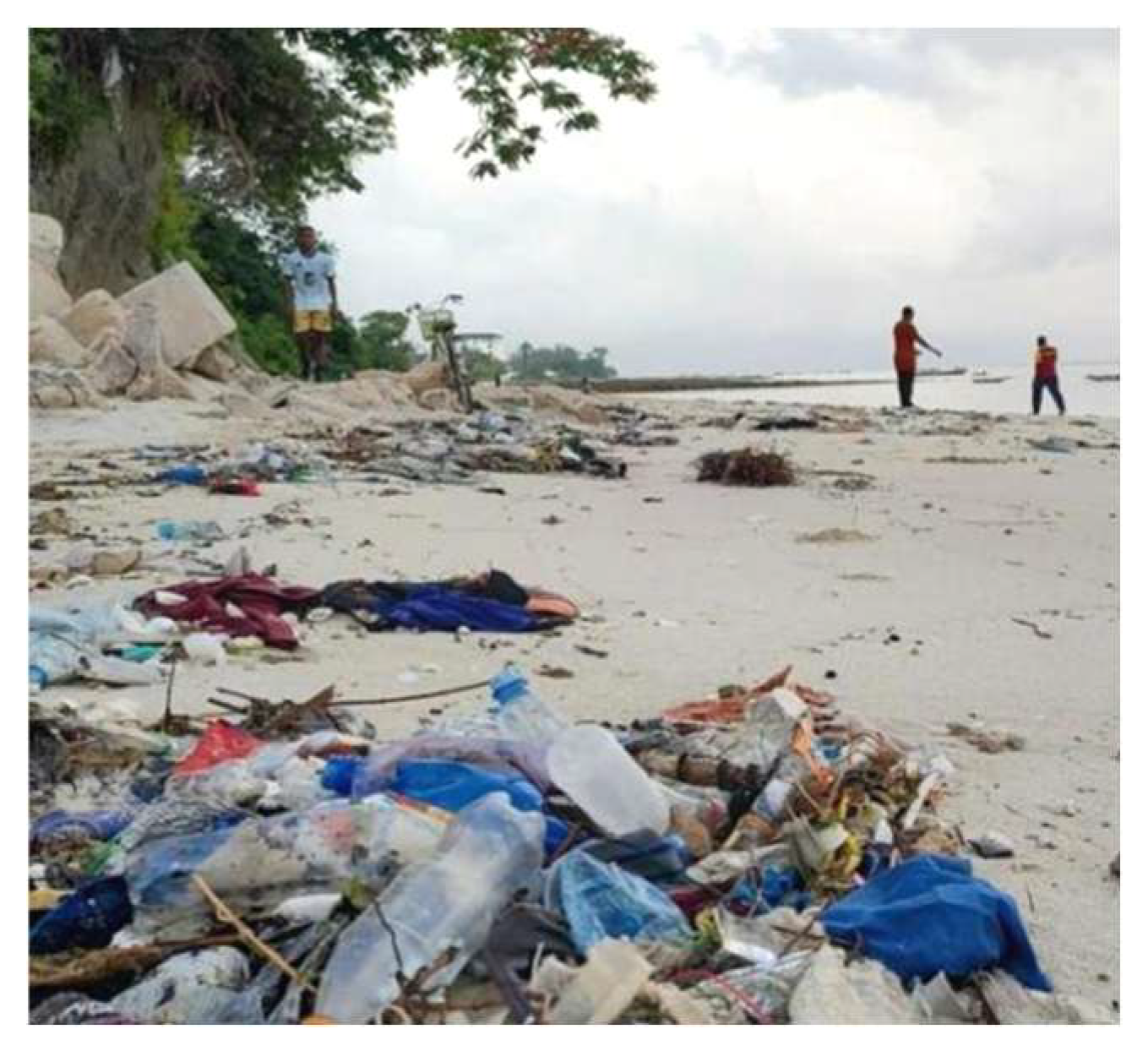 Sustainability 17 09692 g003