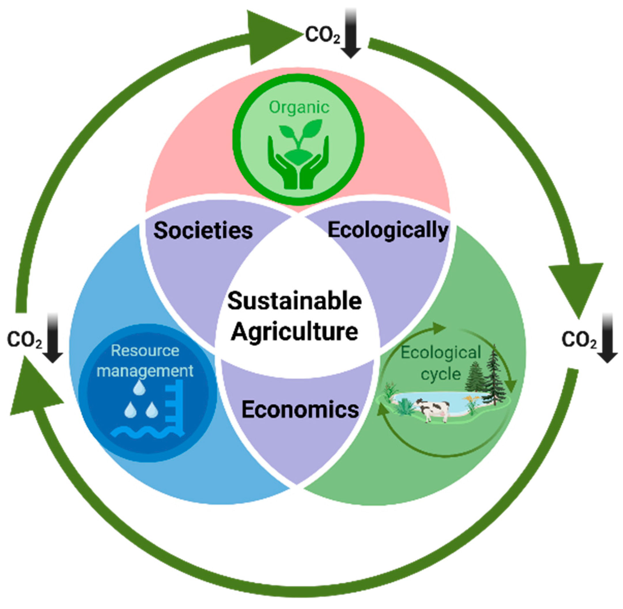 Sustainability 17 09754 g001