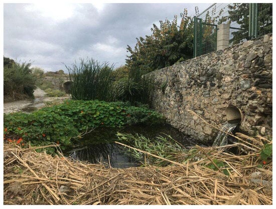 Sustainability 17 09792 g0a1