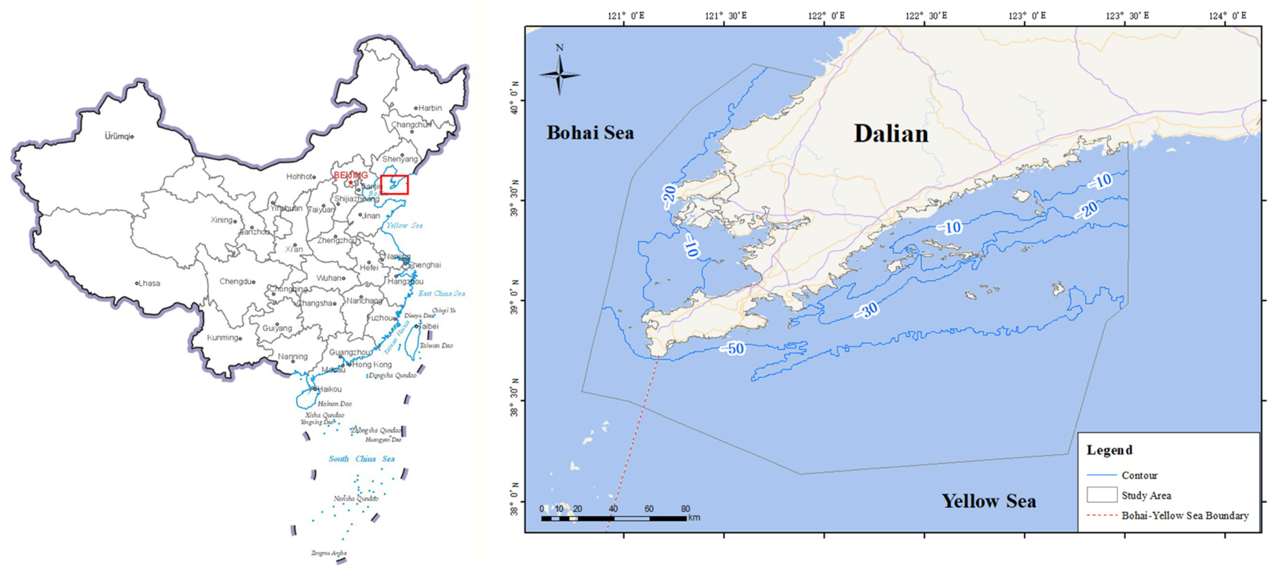 Sustainability 17 09851 g001