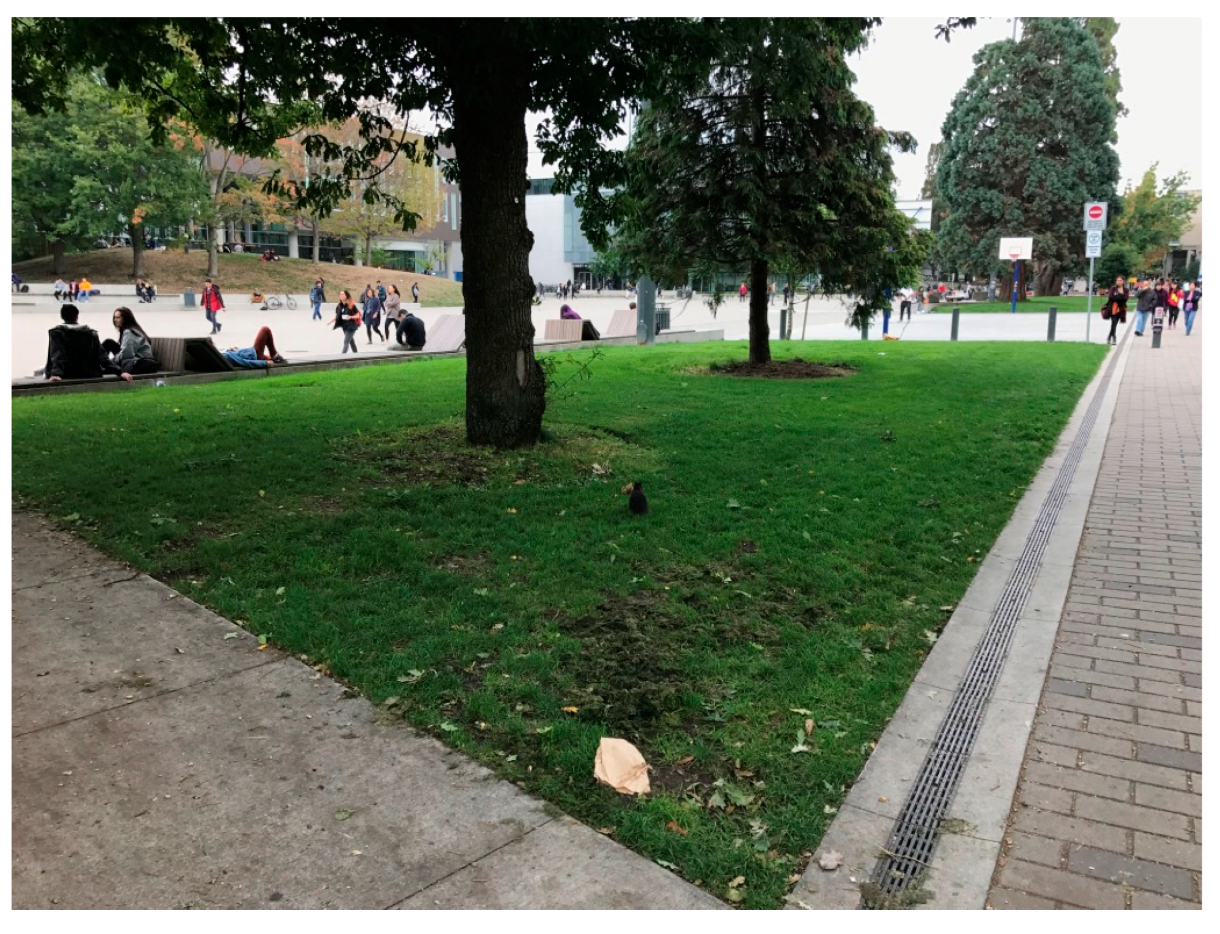 Sustainability 17 09878 g005