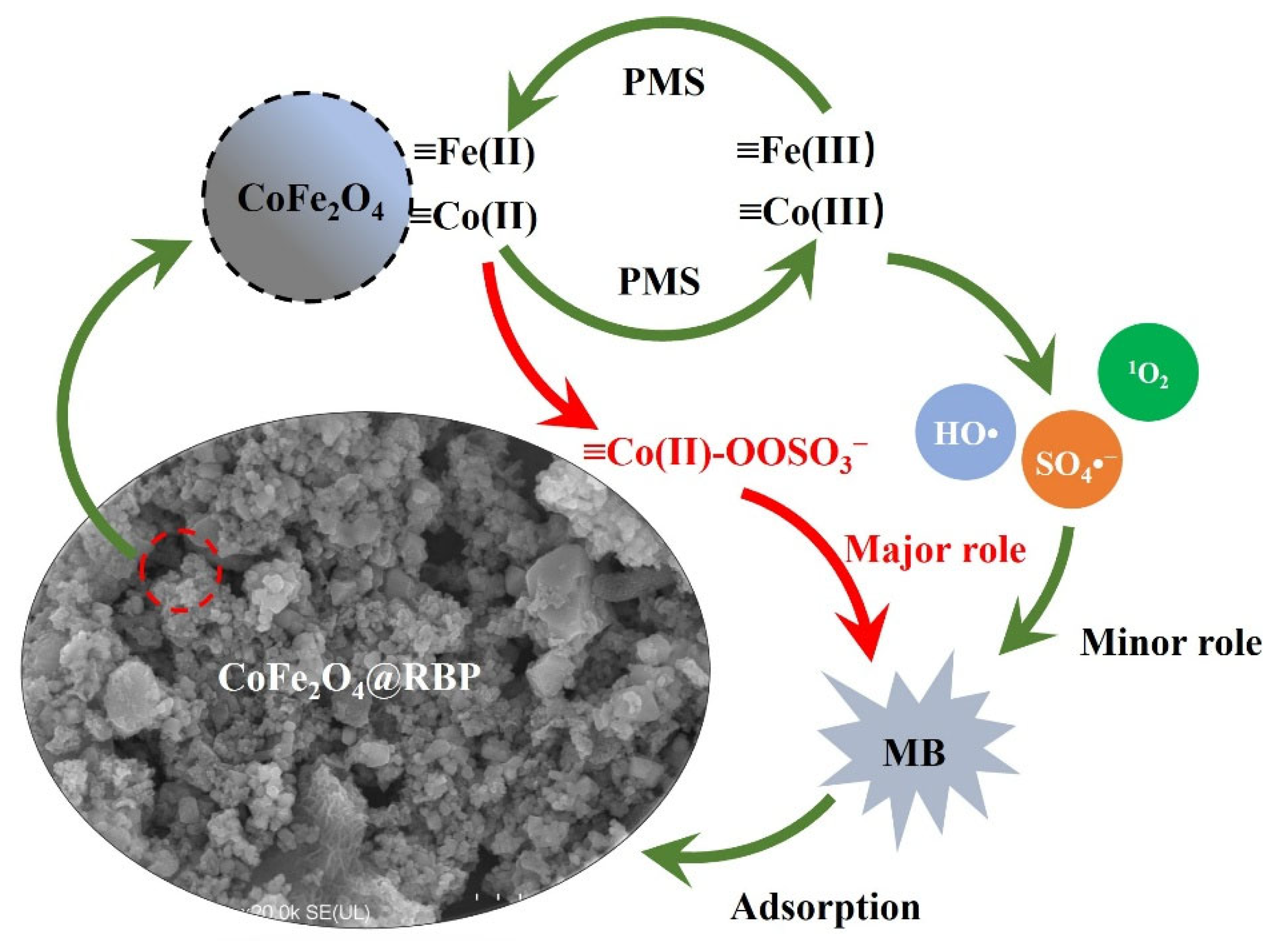 Sustainability 17 09886 g005