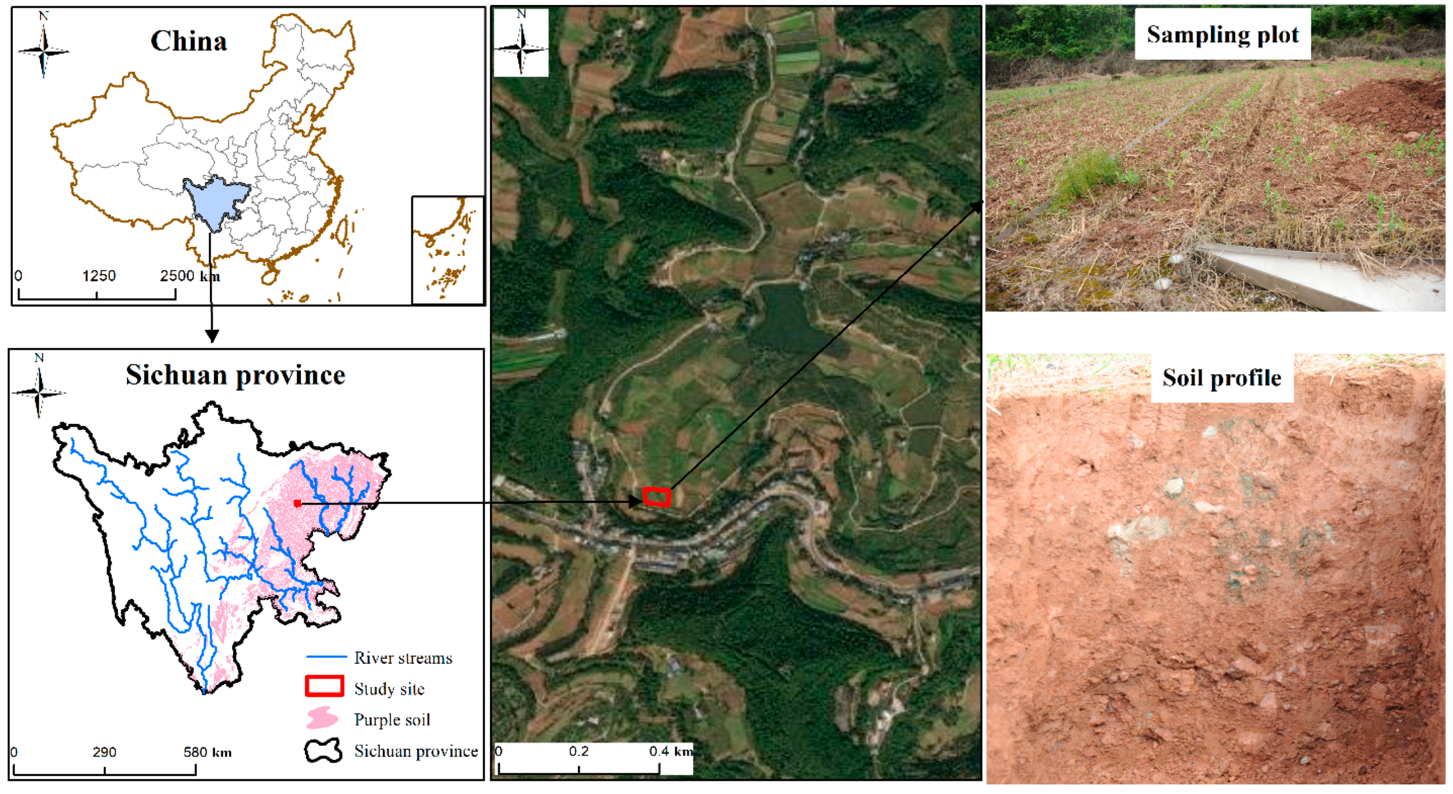 Sustainability 17 09898 g001