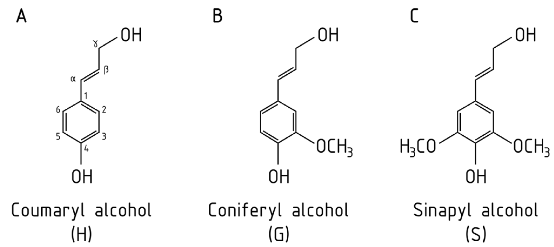 Sustainability 17 09913 g003