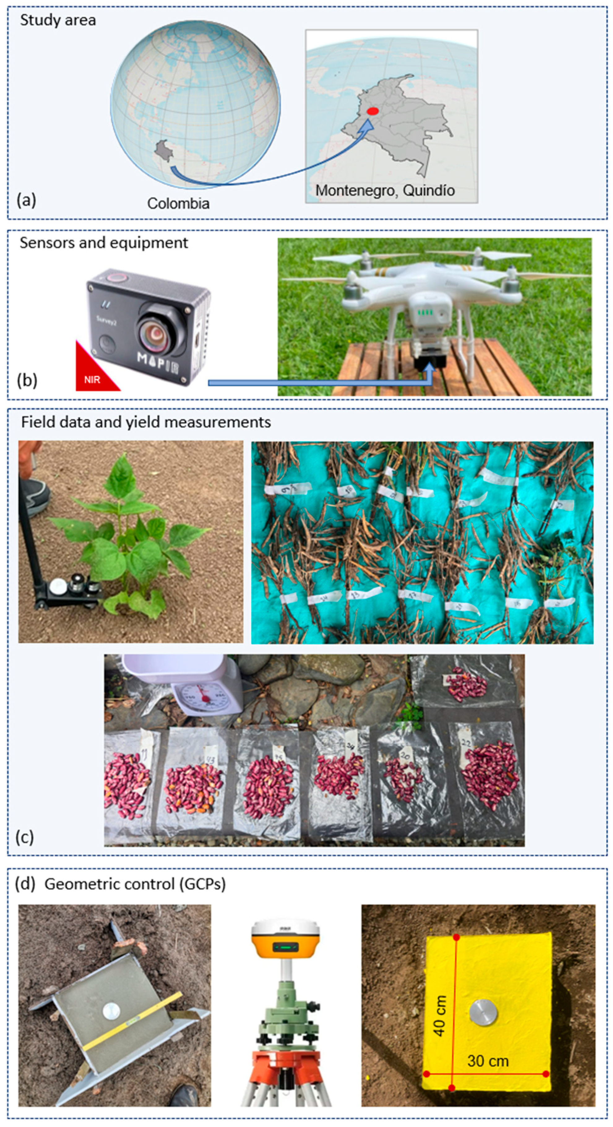 Sustainability 17 10066 g001