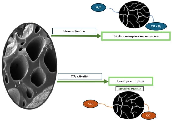 Sustainability 17 10194 g005