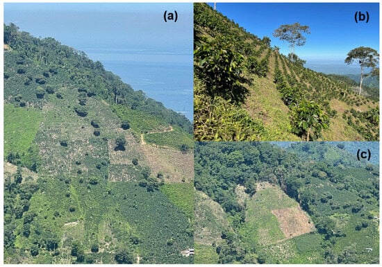 Sustainability 17 10975 g005