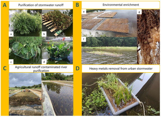 Sustainability 17 11327 g002