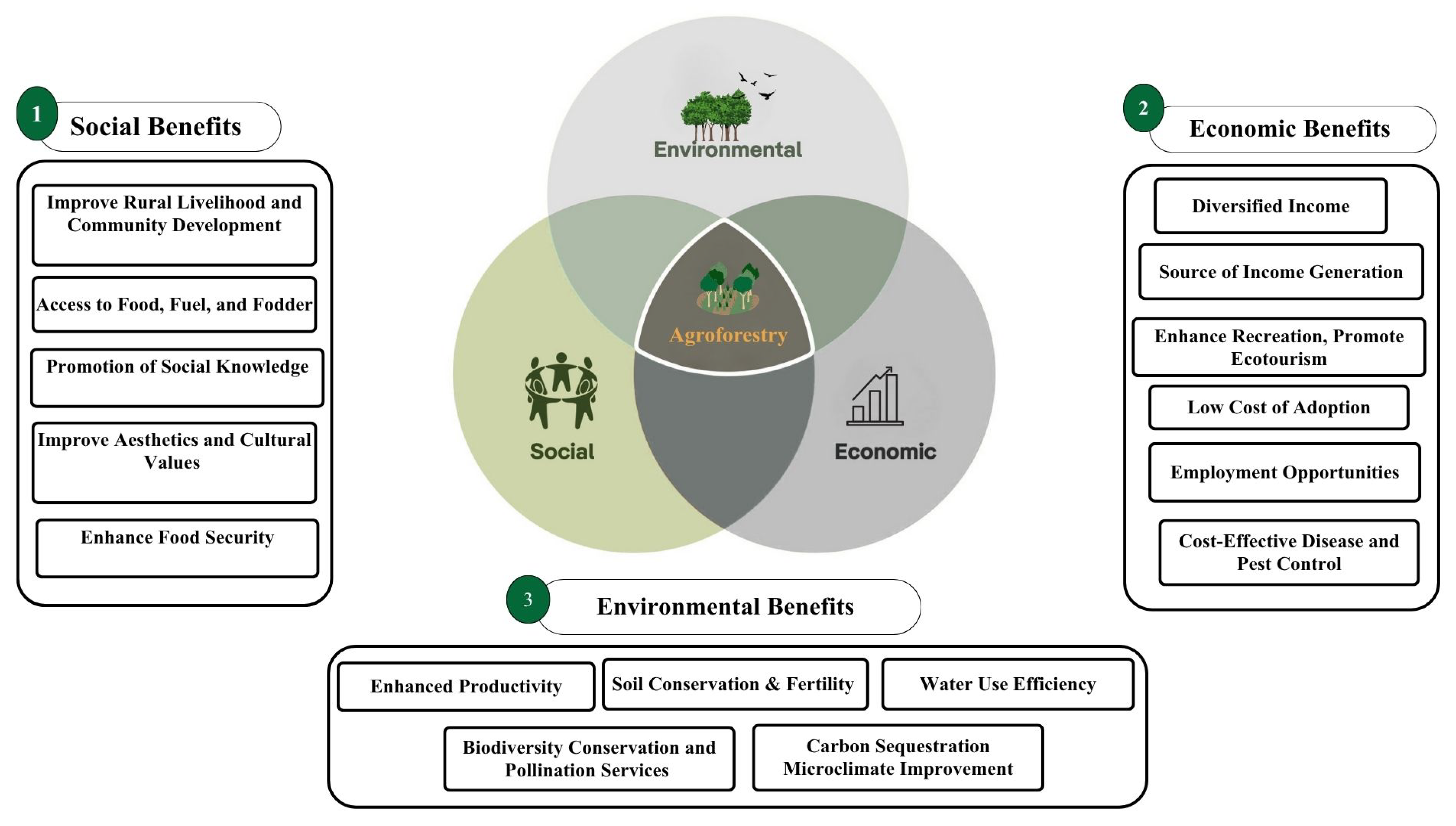 Sustainability 18 00005 g007