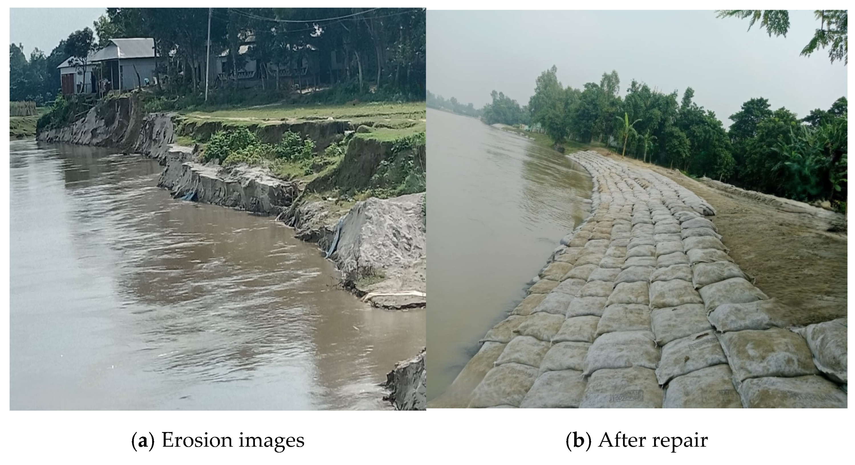 Sustainability 18 00039 g006 Sustainability 18 00039 g006