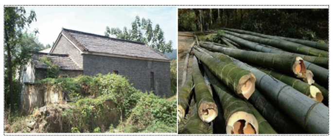 Sustainability 18 00105 i001 Sustainability 18 00105 i001