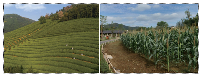 Sustainability 18 00105 i003 Sustainability 18 00105 i003