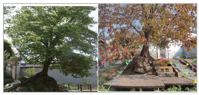 Sustainability 18 00105 i007 Sustainability 18 00105 i007