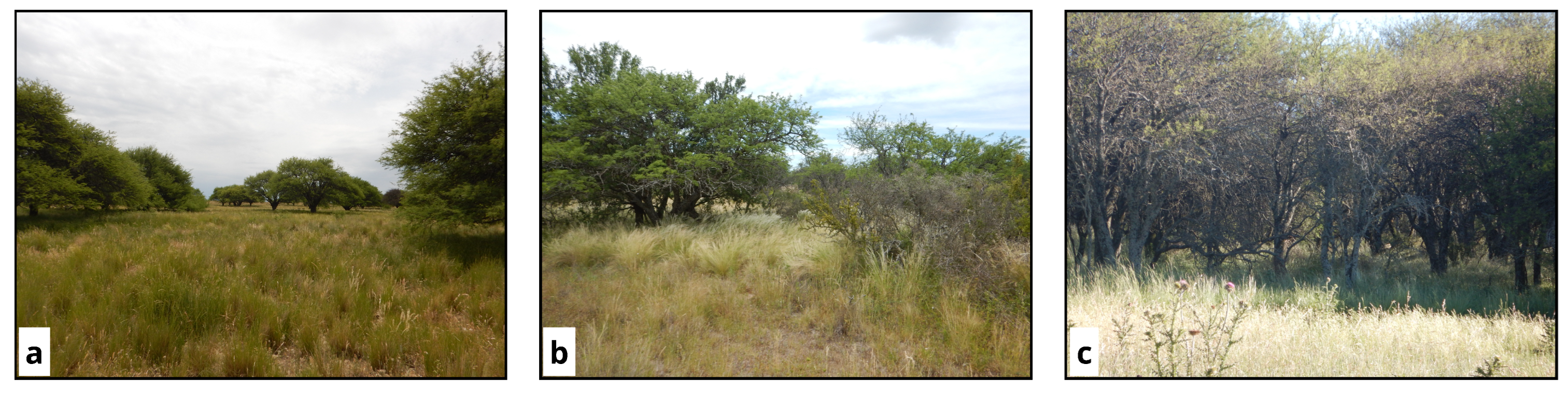 Sustainability 18 00369 g002