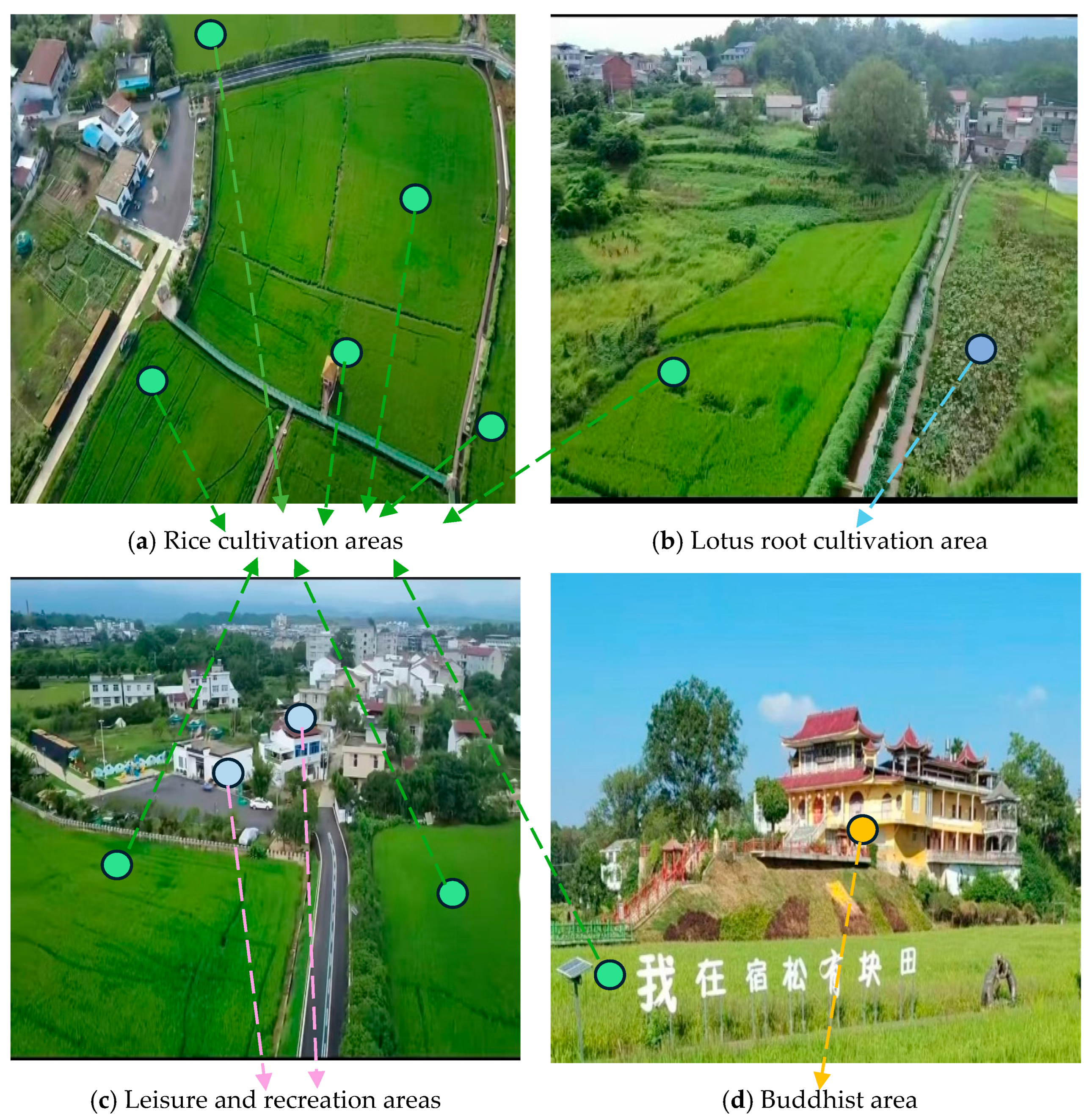 Sustainability 18 00454 g004