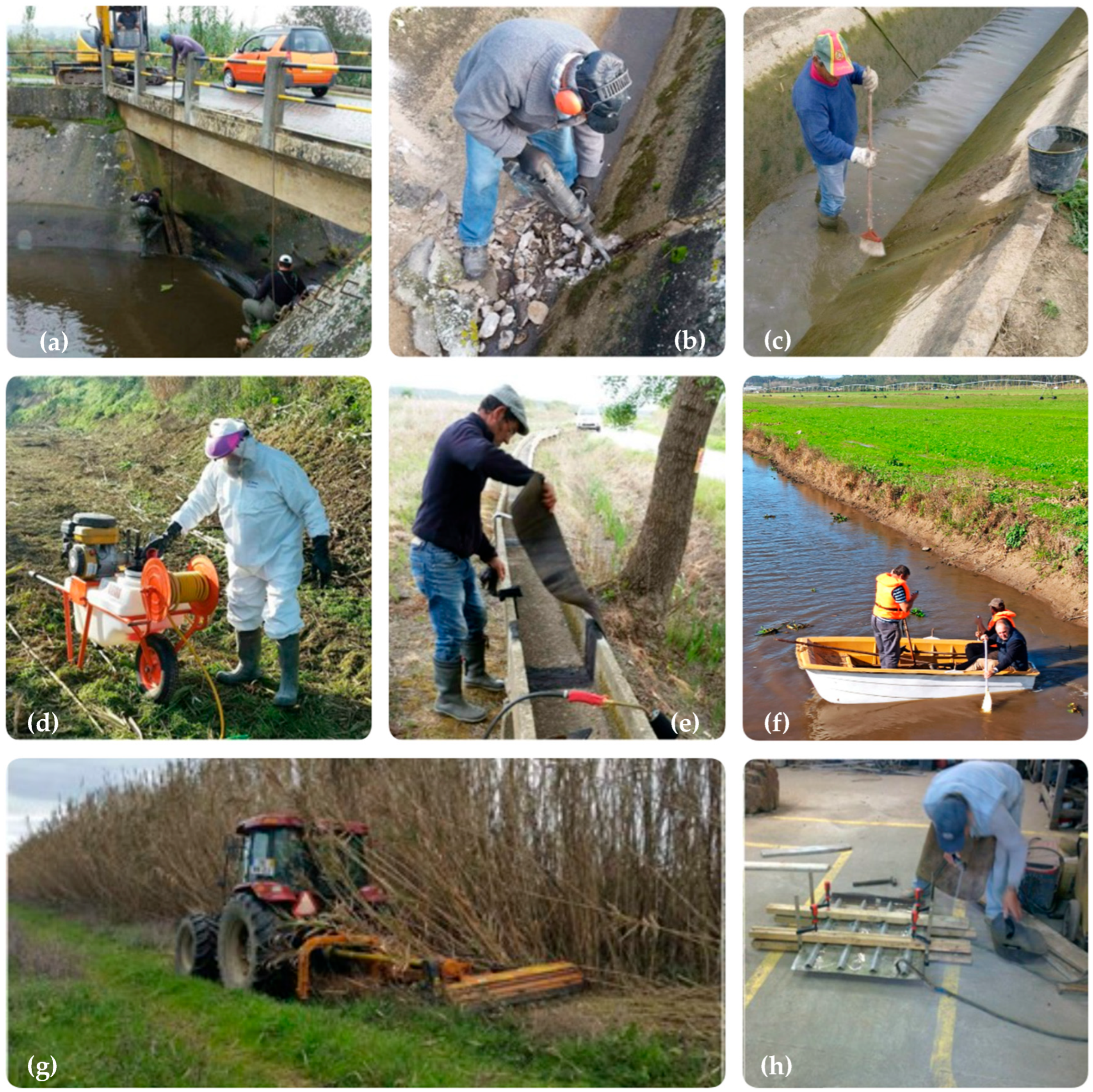 Sustainability 18 00665 g002