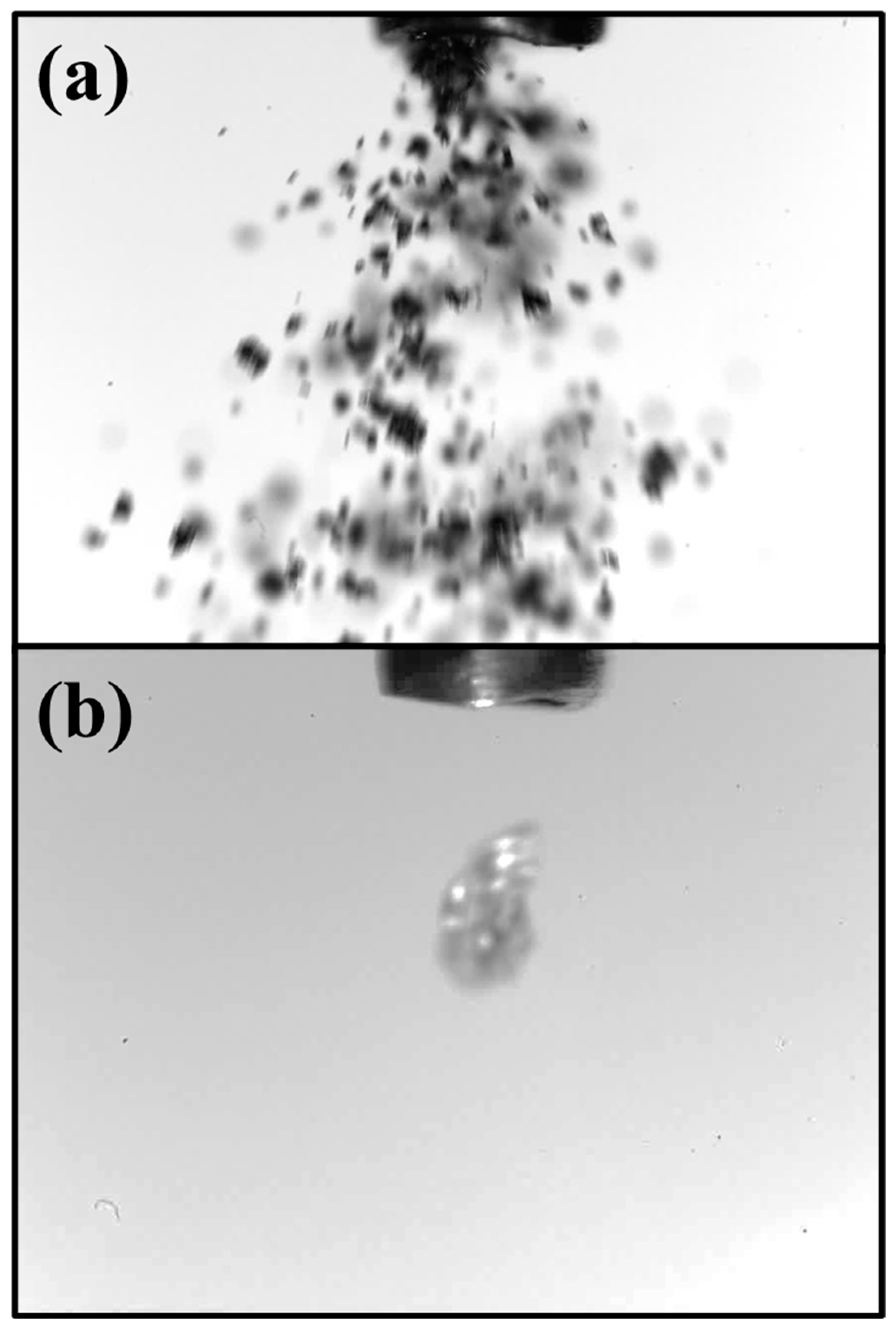 Sustainability 18 00704 g004