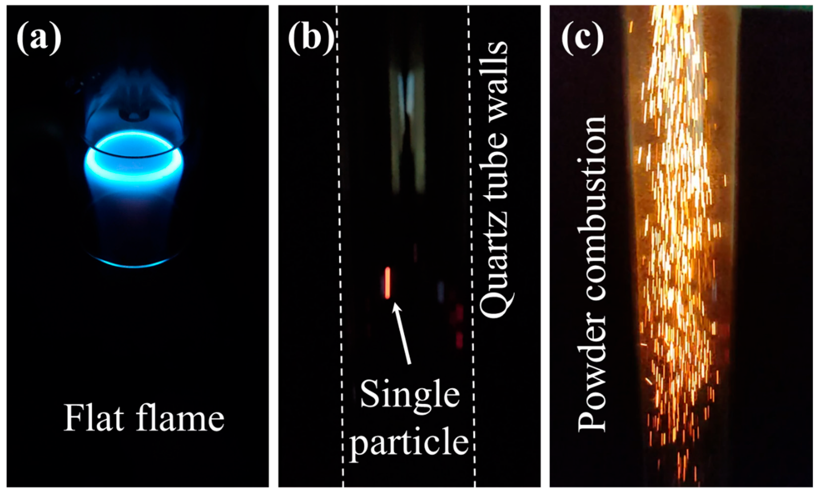 Sustainability 18 00704 g005
