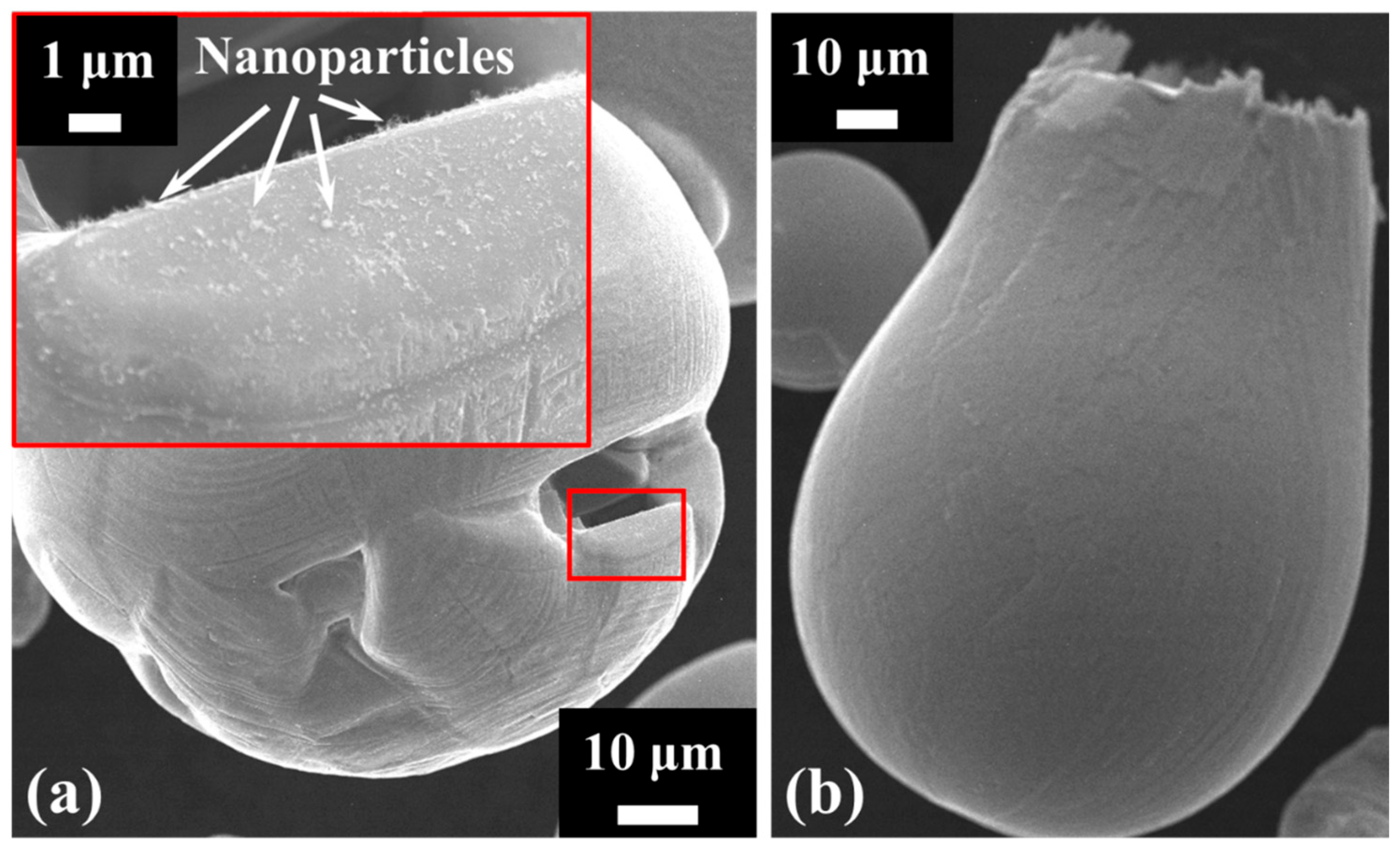 Sustainability 18 00704 g007