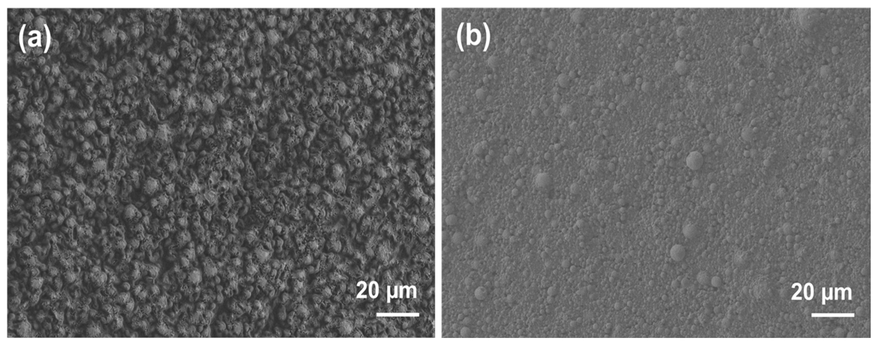 Sustainability 18 00852 g002