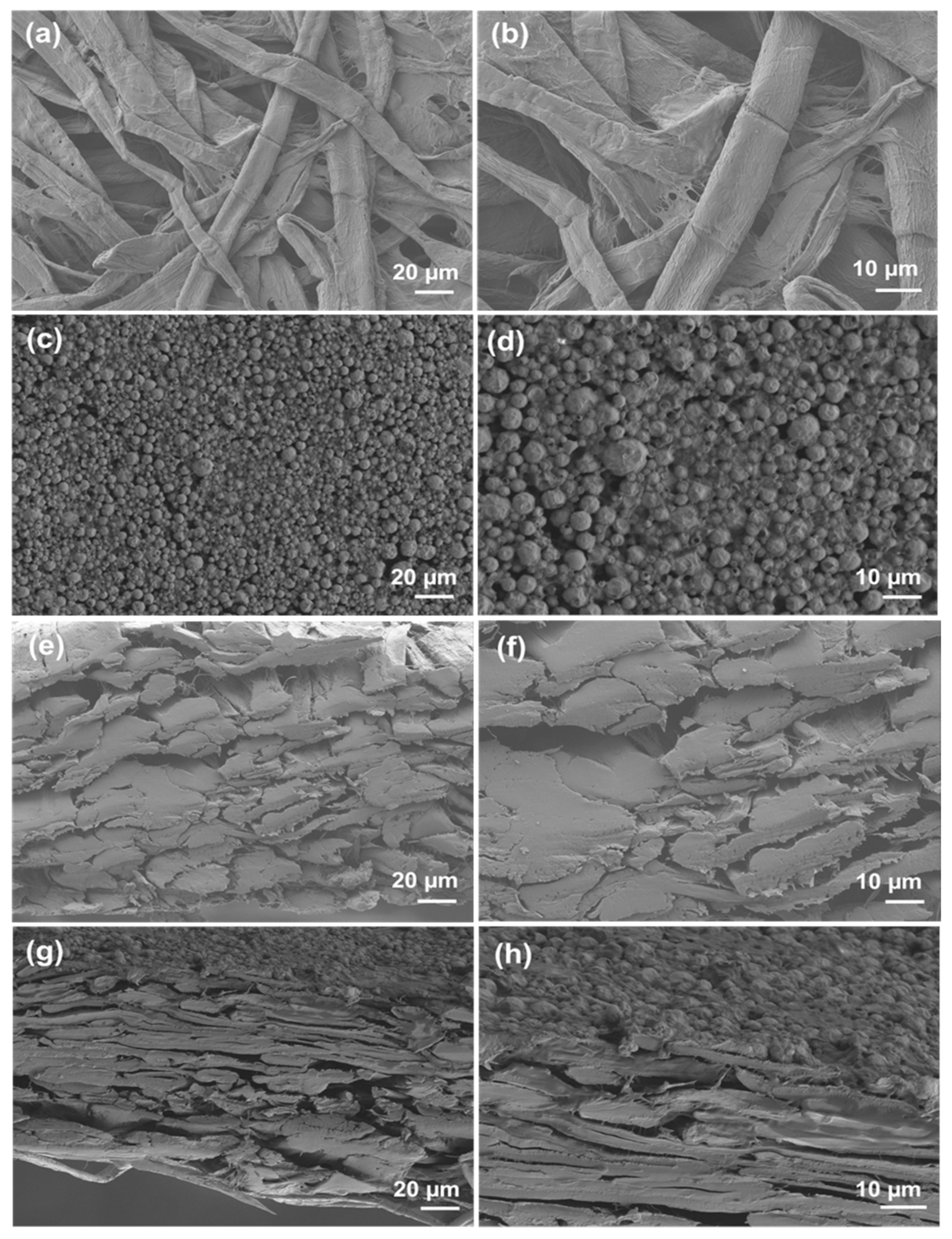 Sustainability 18 00852 g003