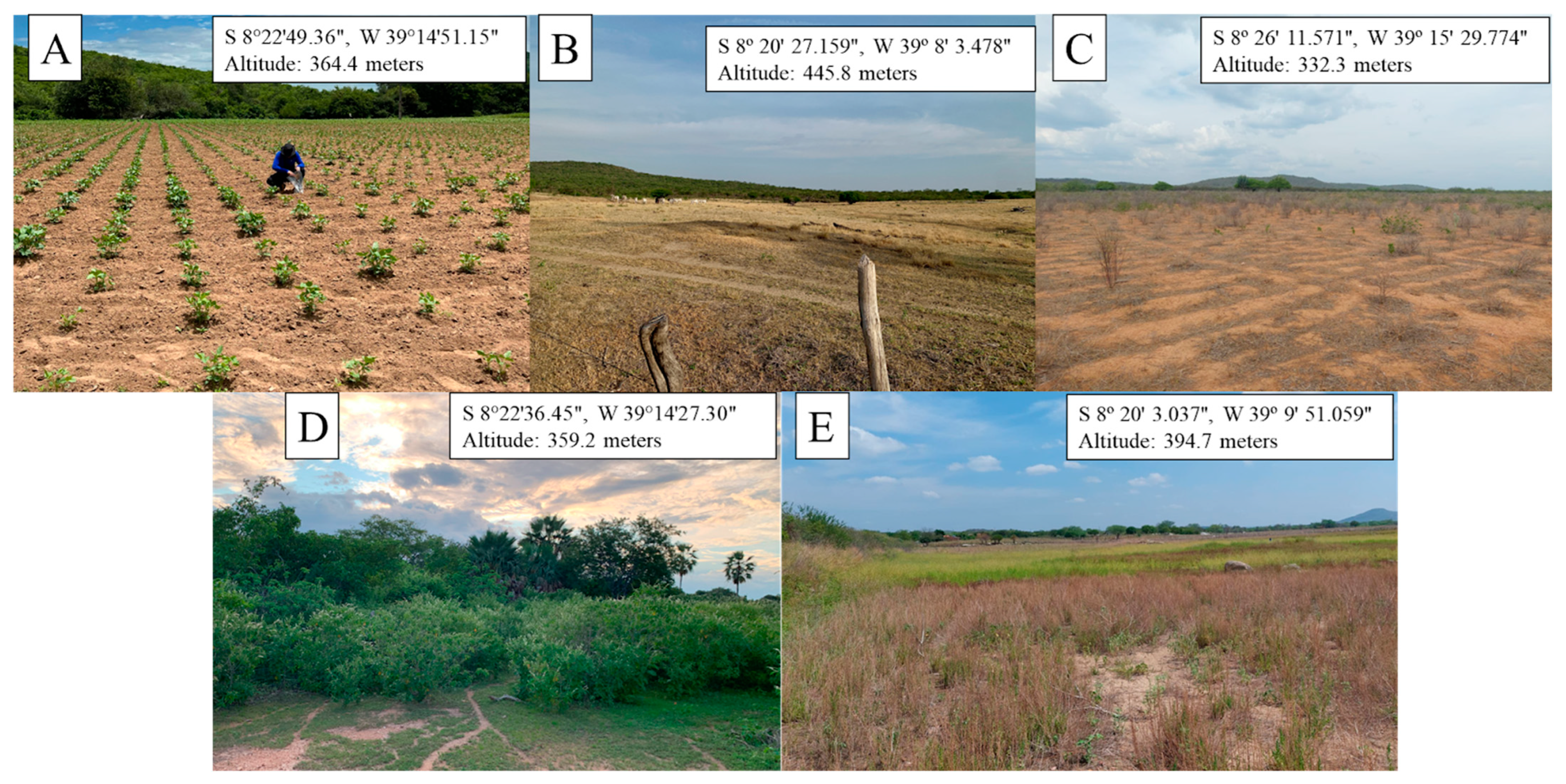 Sustainability 18 00917 g013