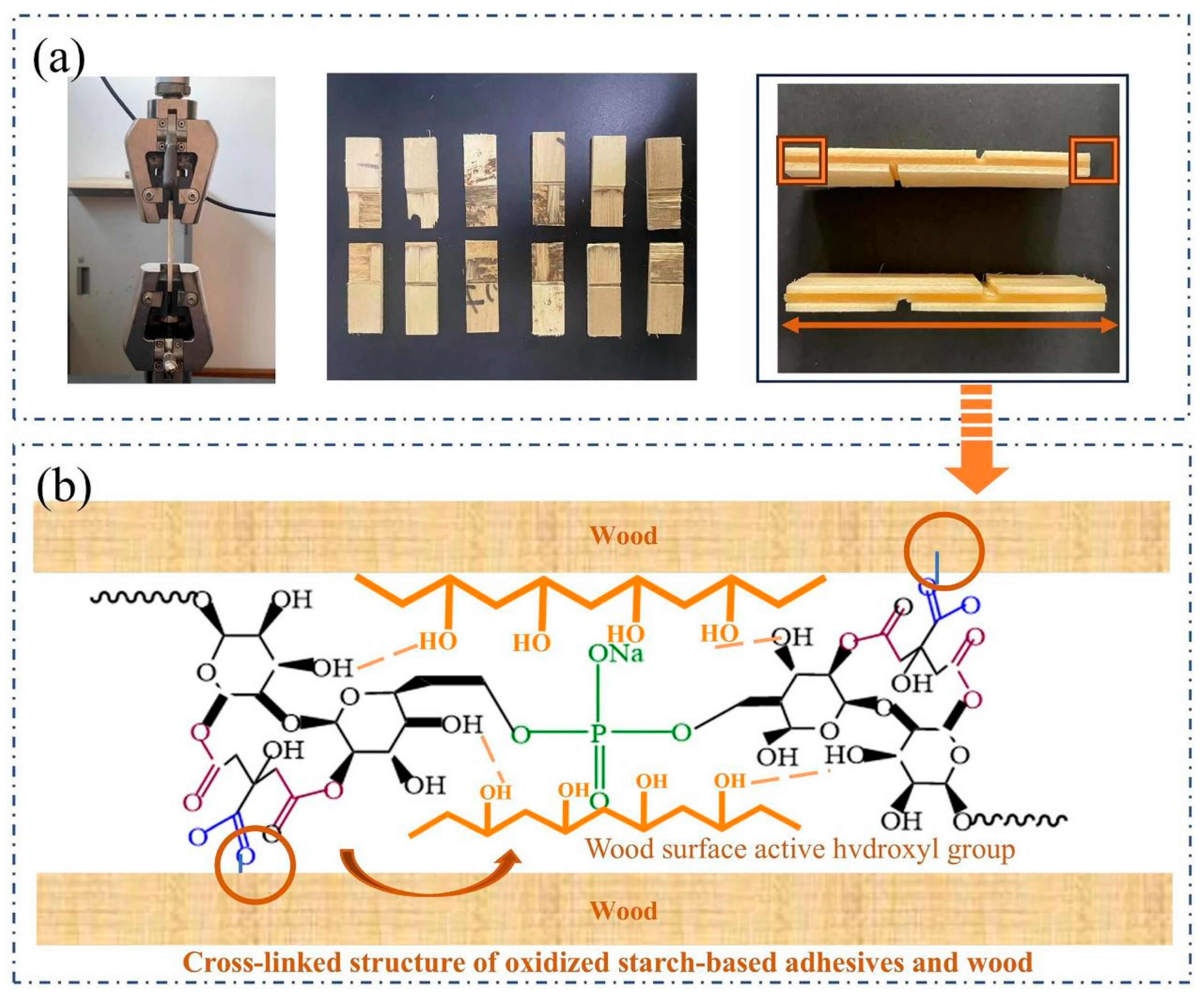Sustainability 18 01477 g004