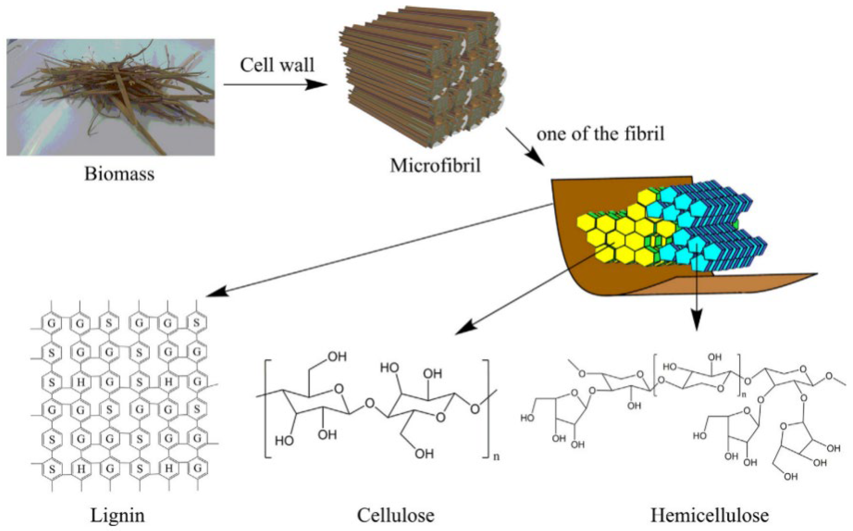 Sustainability 18 01536 g005